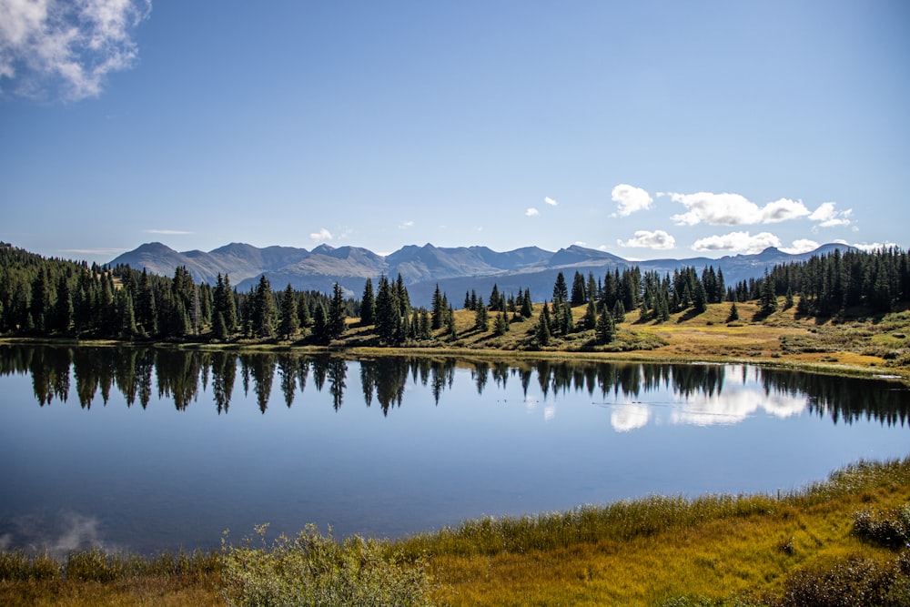 a lake surrounded by trees and mountains