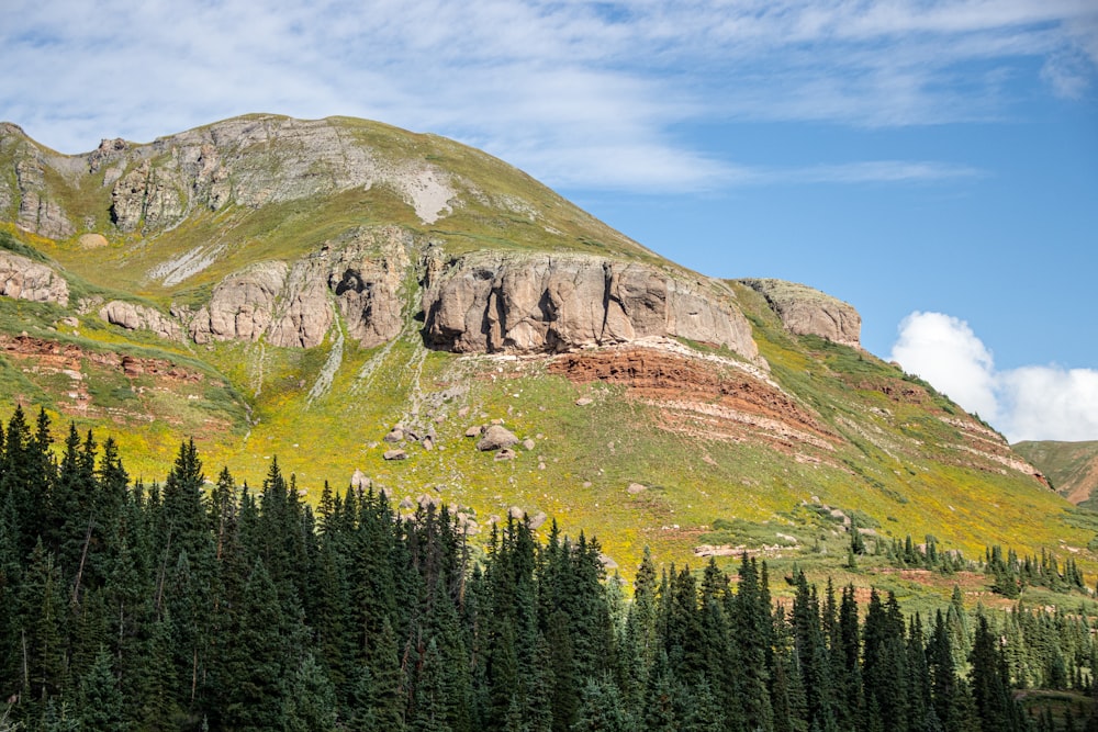 a mountain with trees and a forest