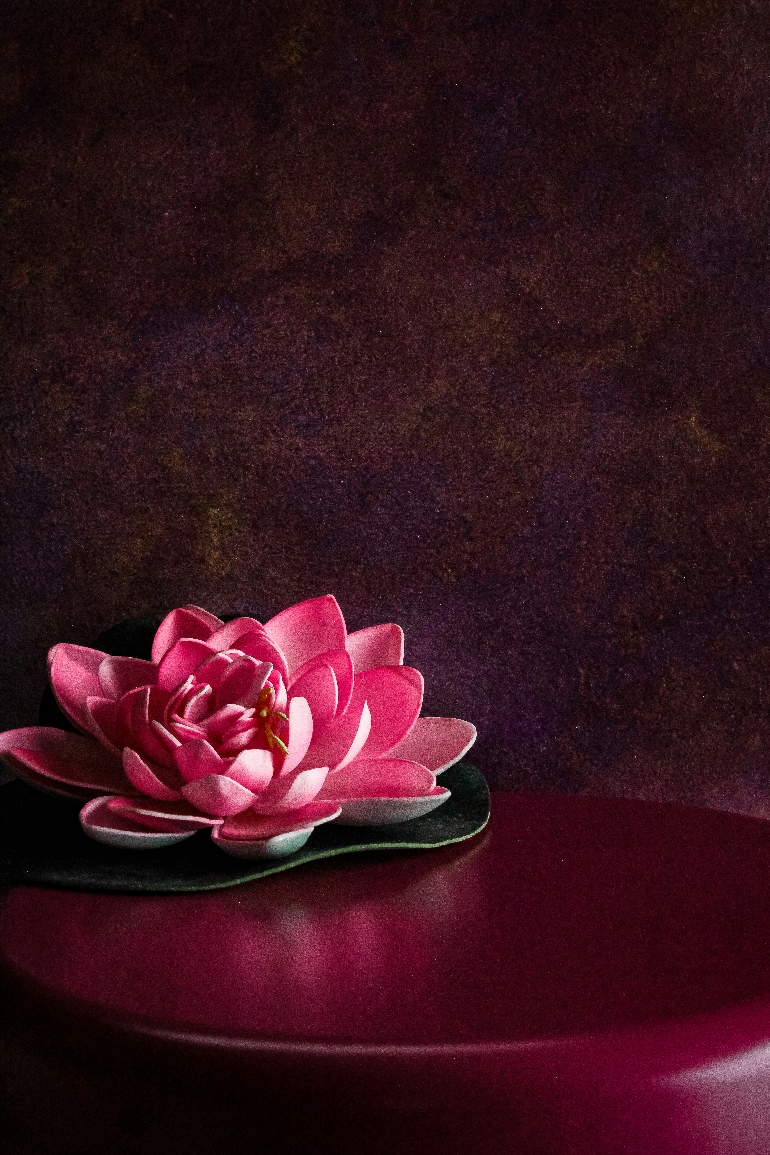 a group of pink flowers on a plate