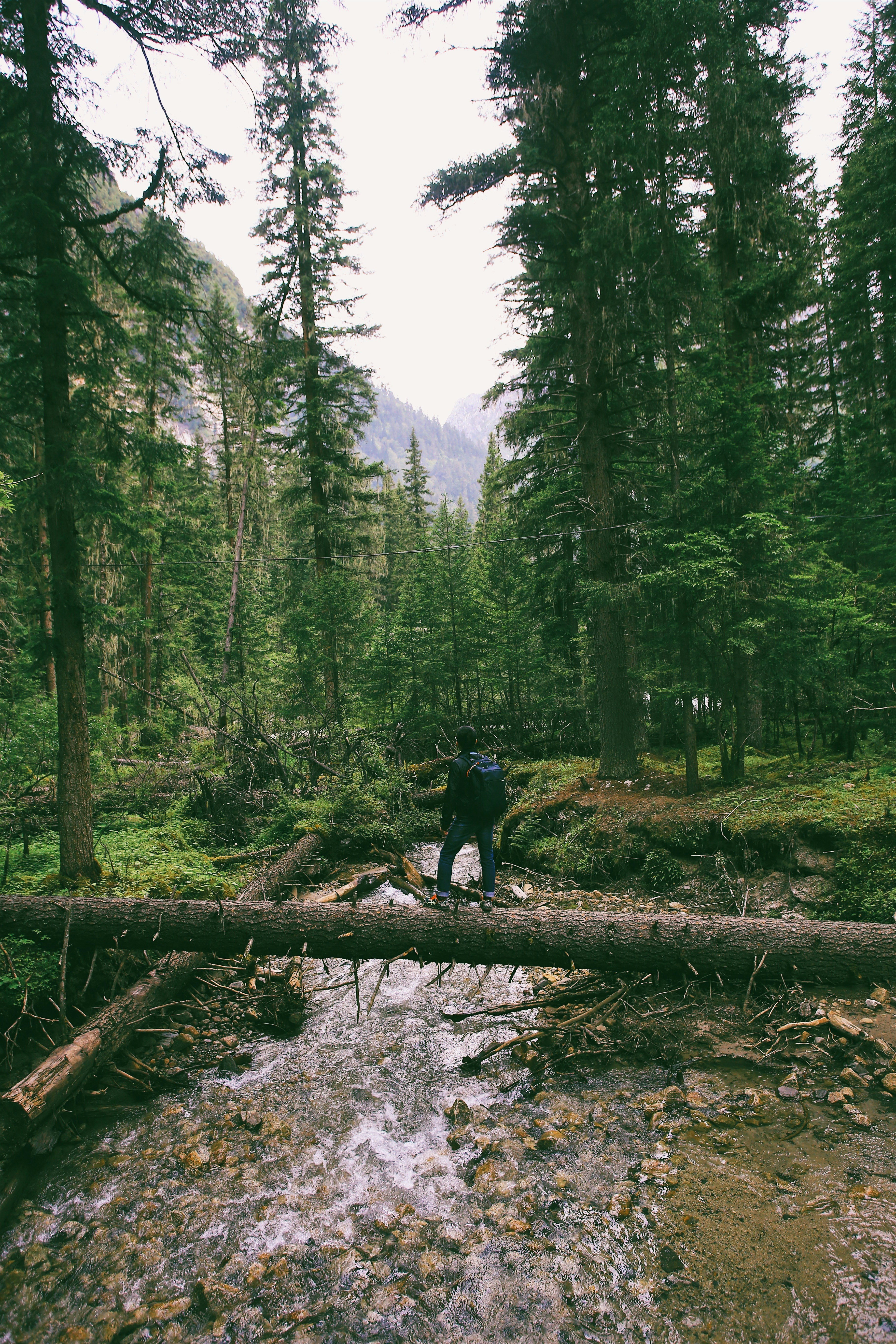 Photo by wangweiwj2004