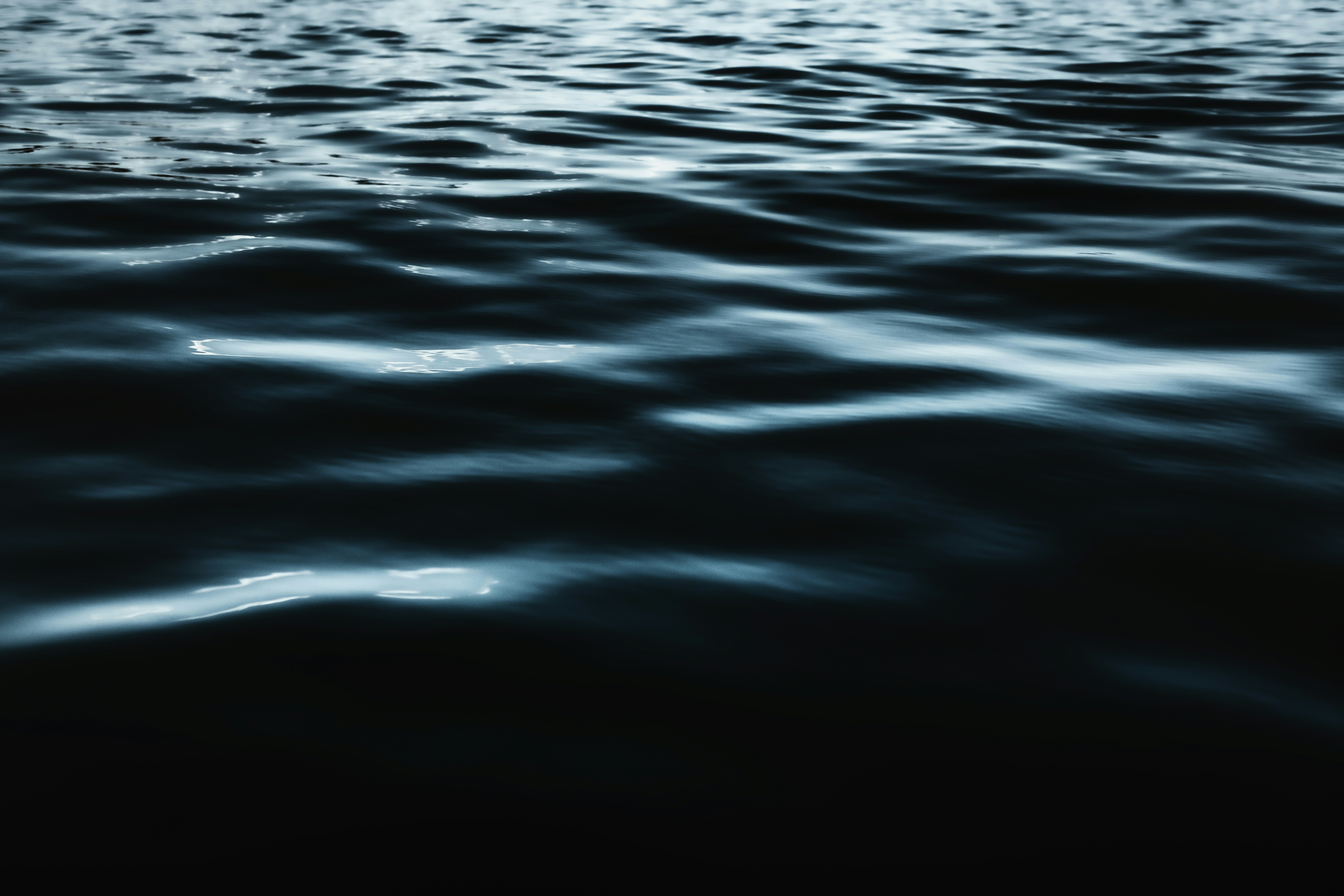 Photo by timmossholder