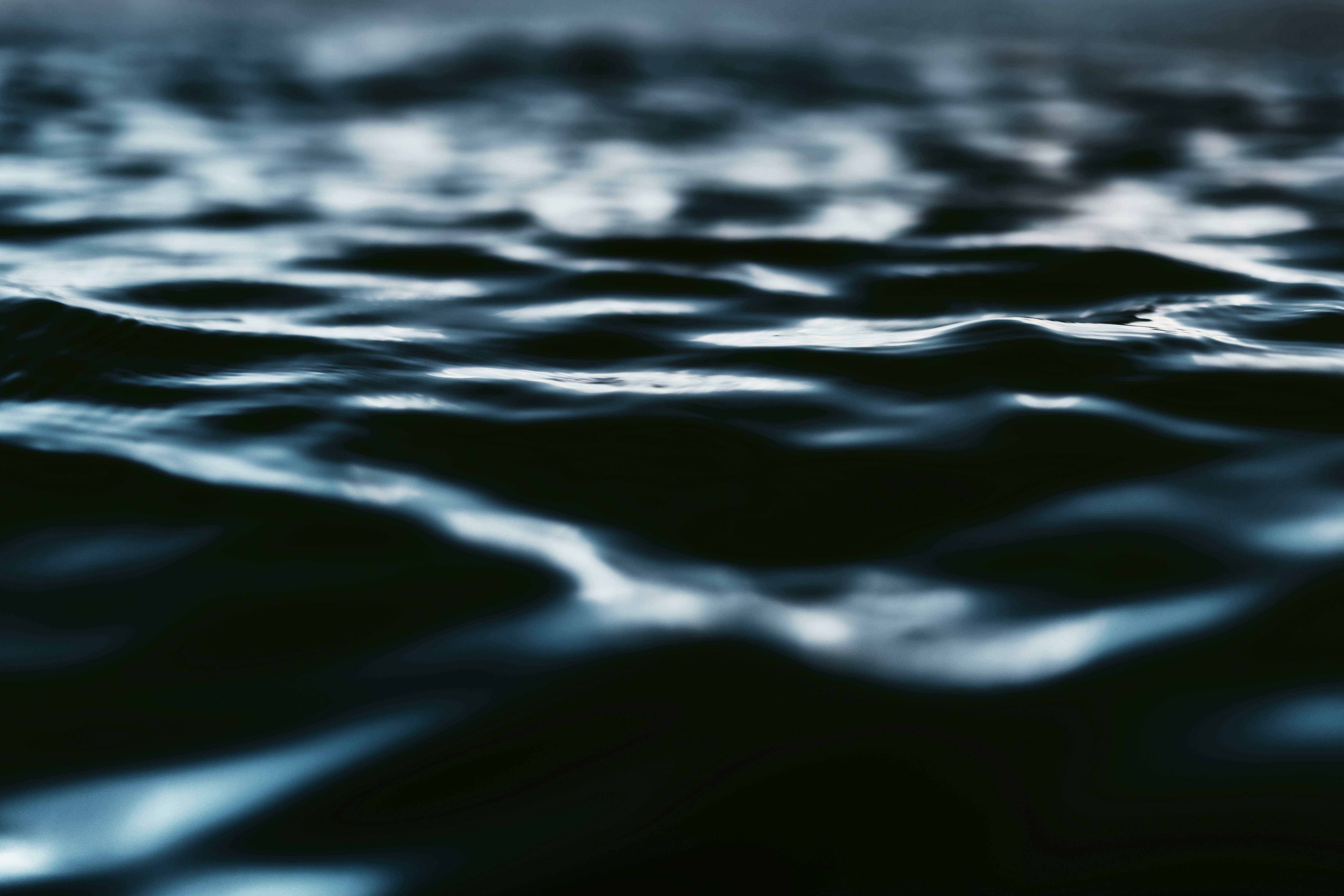 Photo by timmossholder