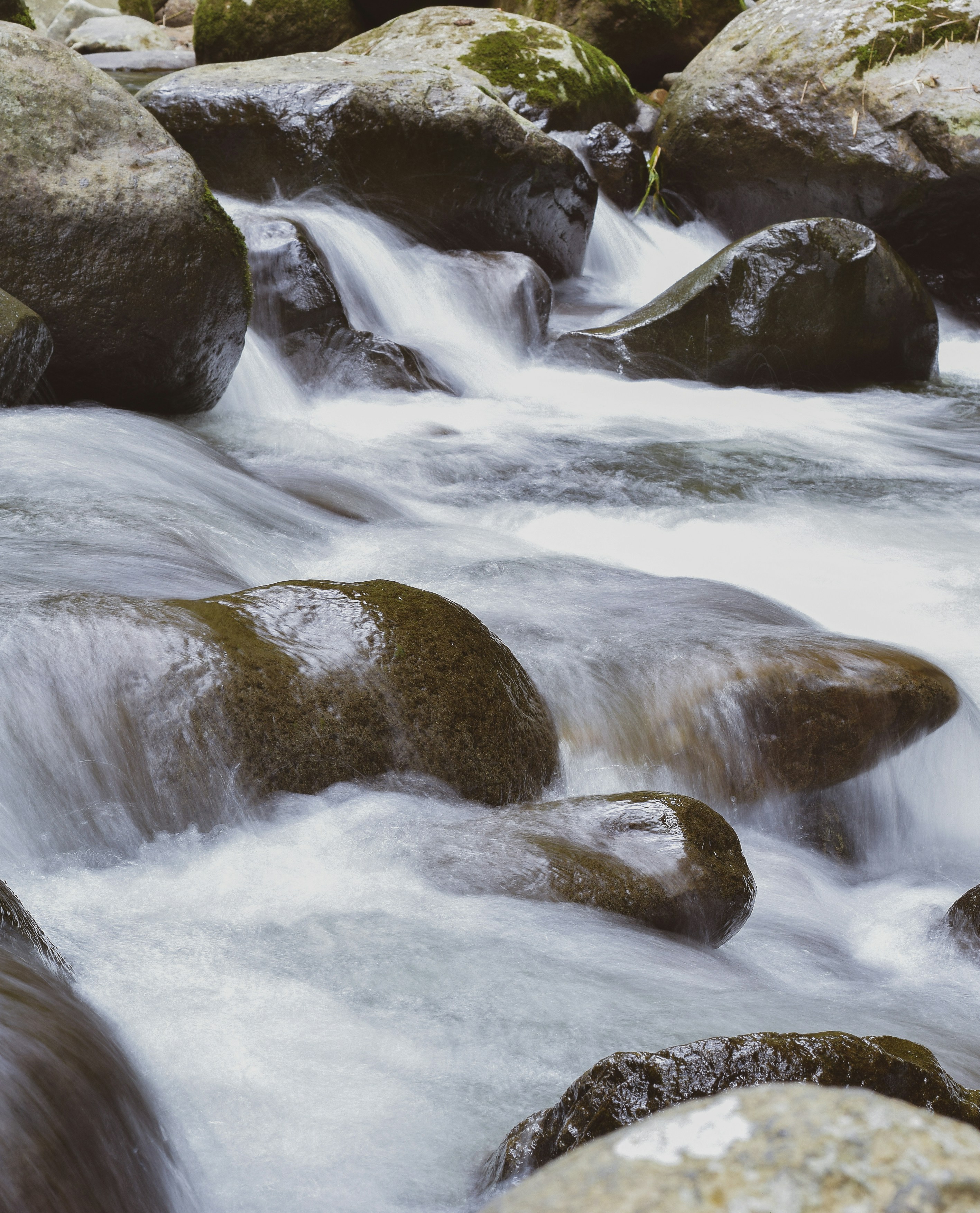 Photo by cherrycomplexes