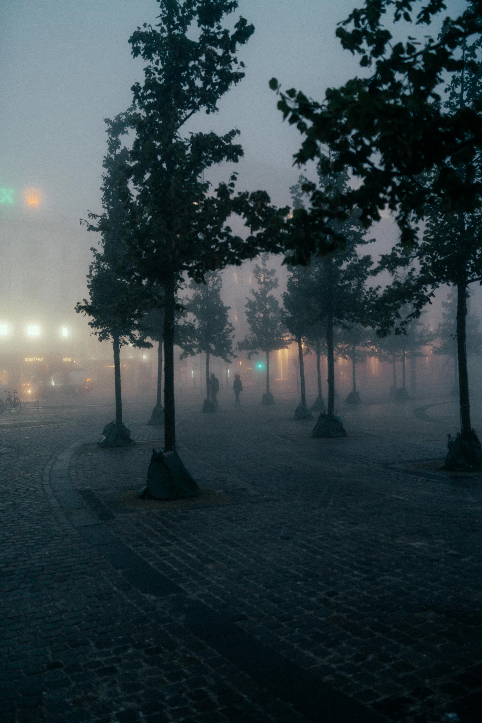 Fog softens a Copenhagen street and its parked bicycles
