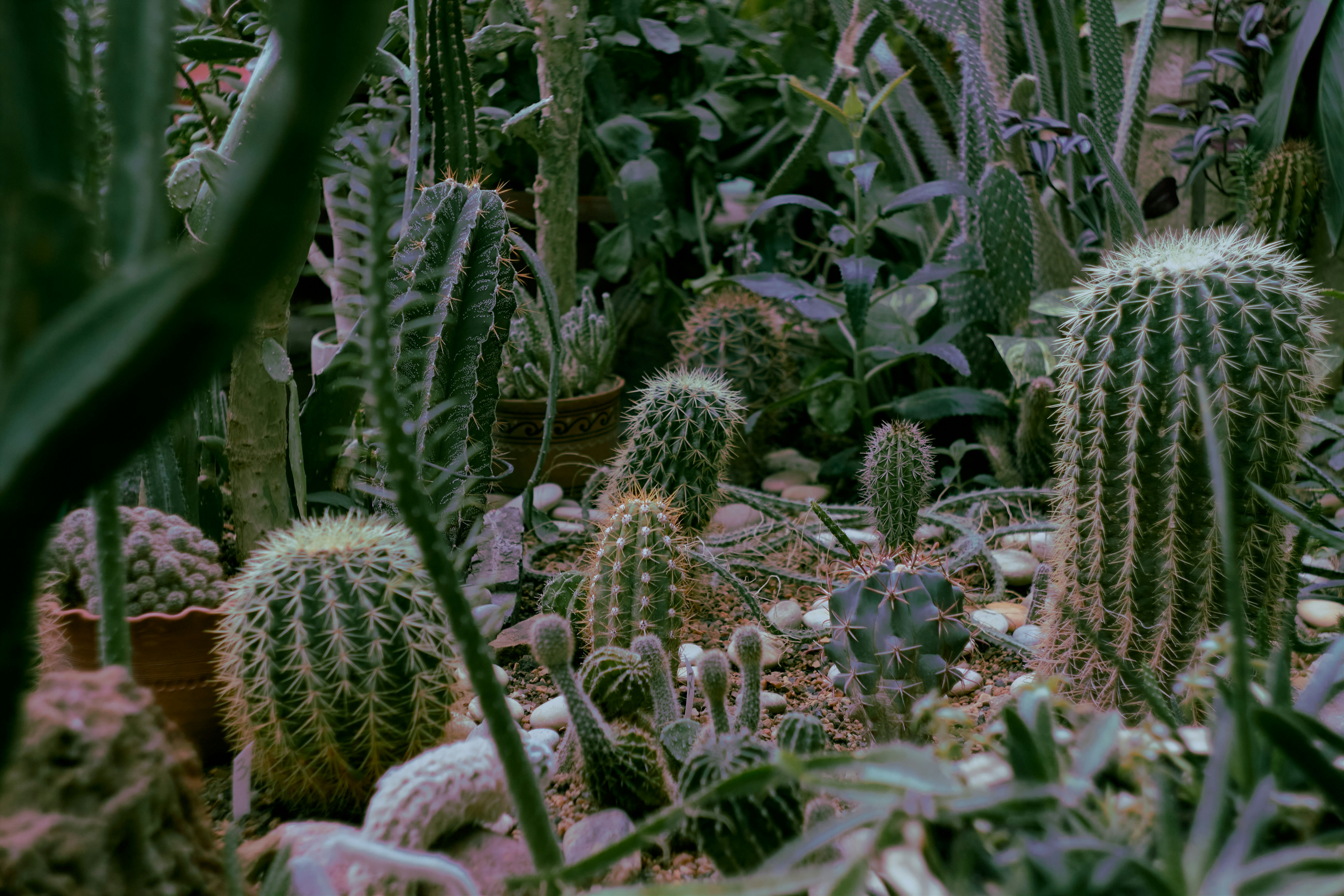 Photo by yana_eternal