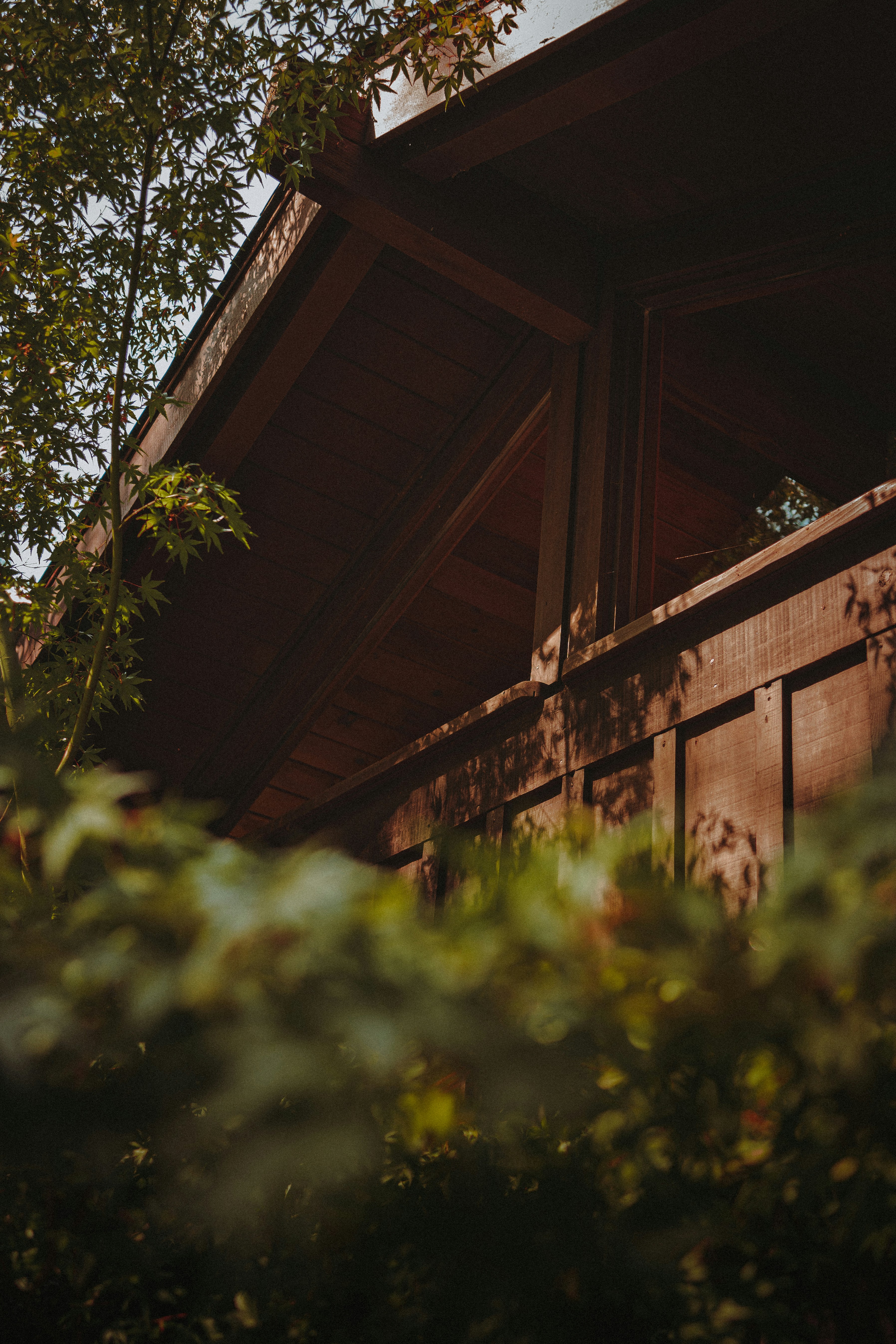 Photo by kalaniparker