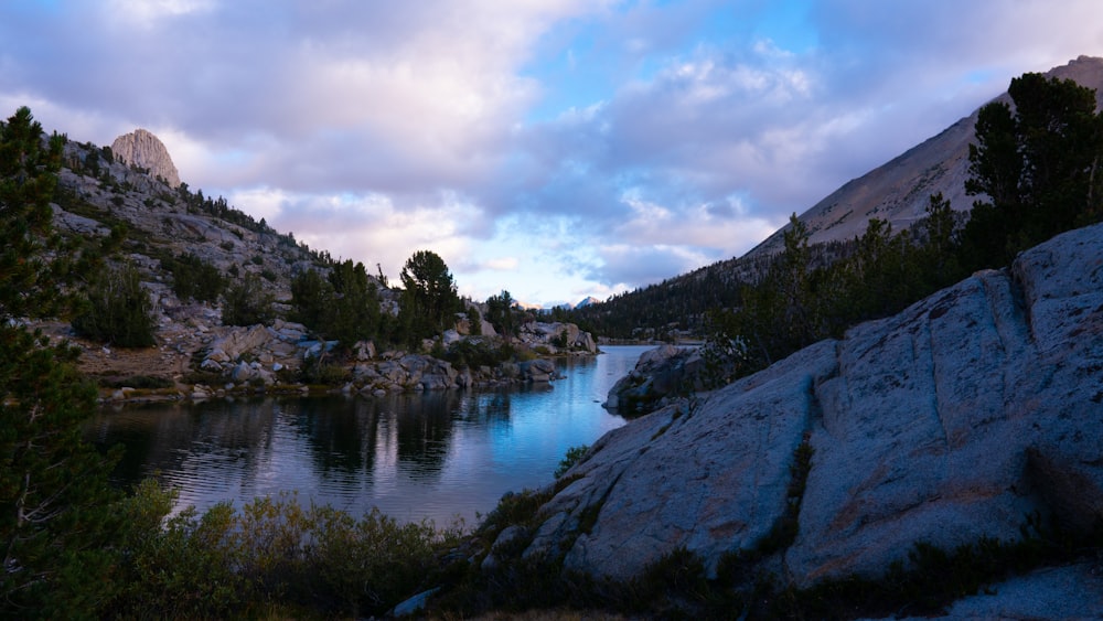 a river with rocks and trees