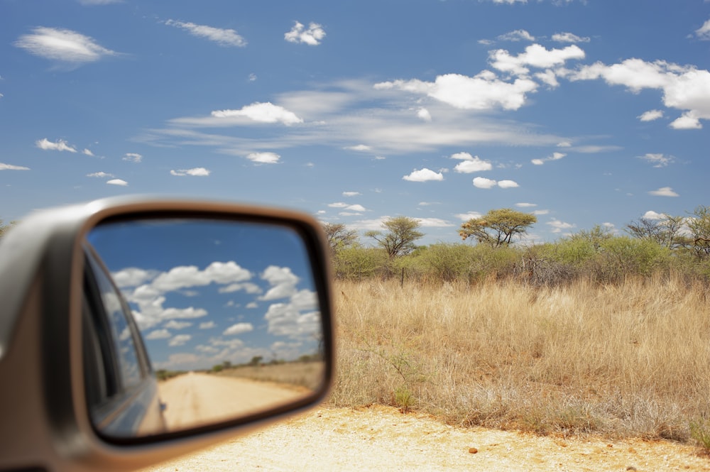 a side view mirror showing a field and trees