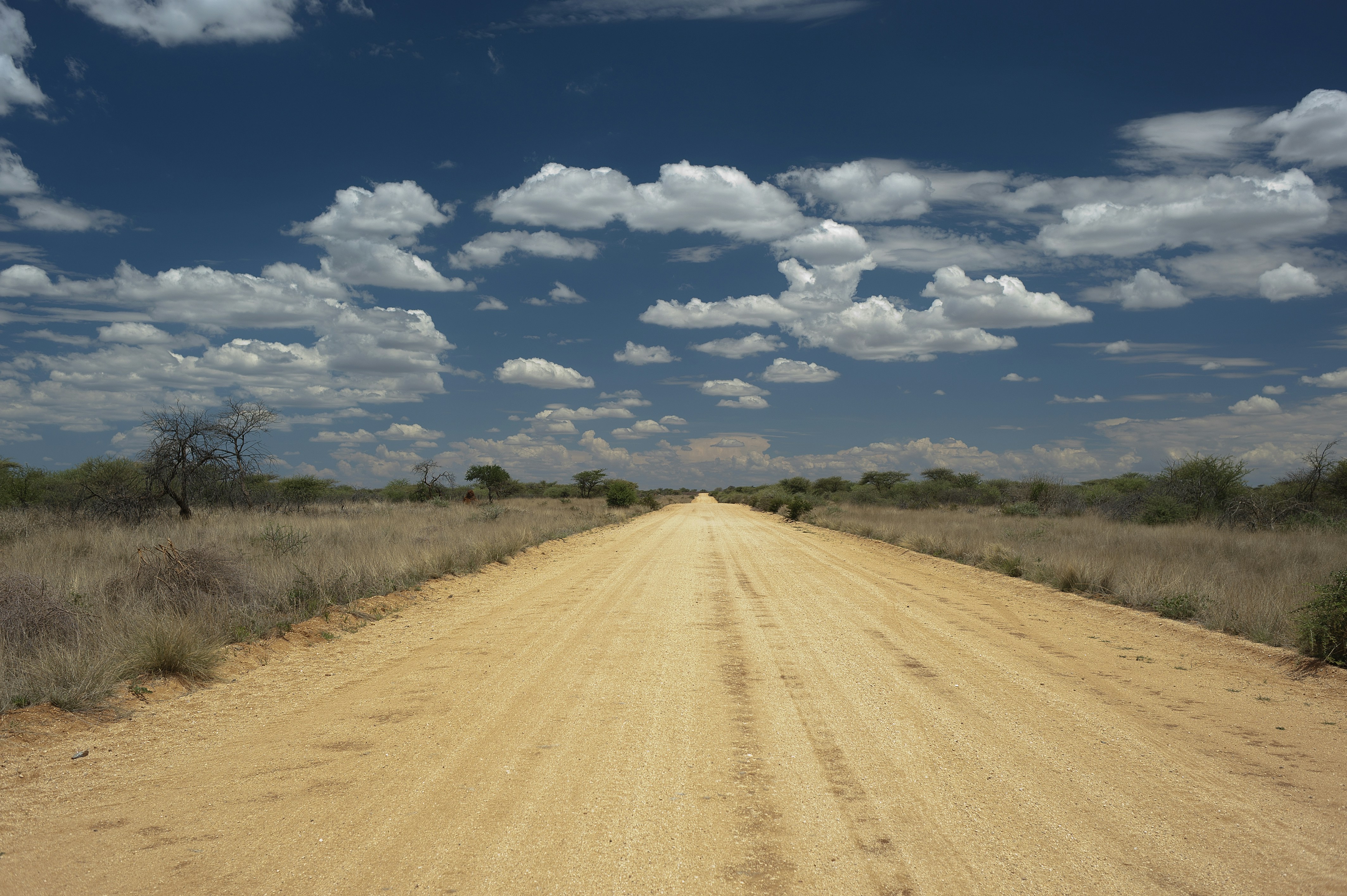 a dirt road with grass on either side of it