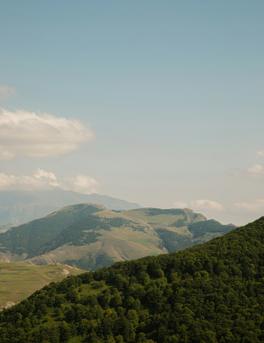 a landscape with trees and hills