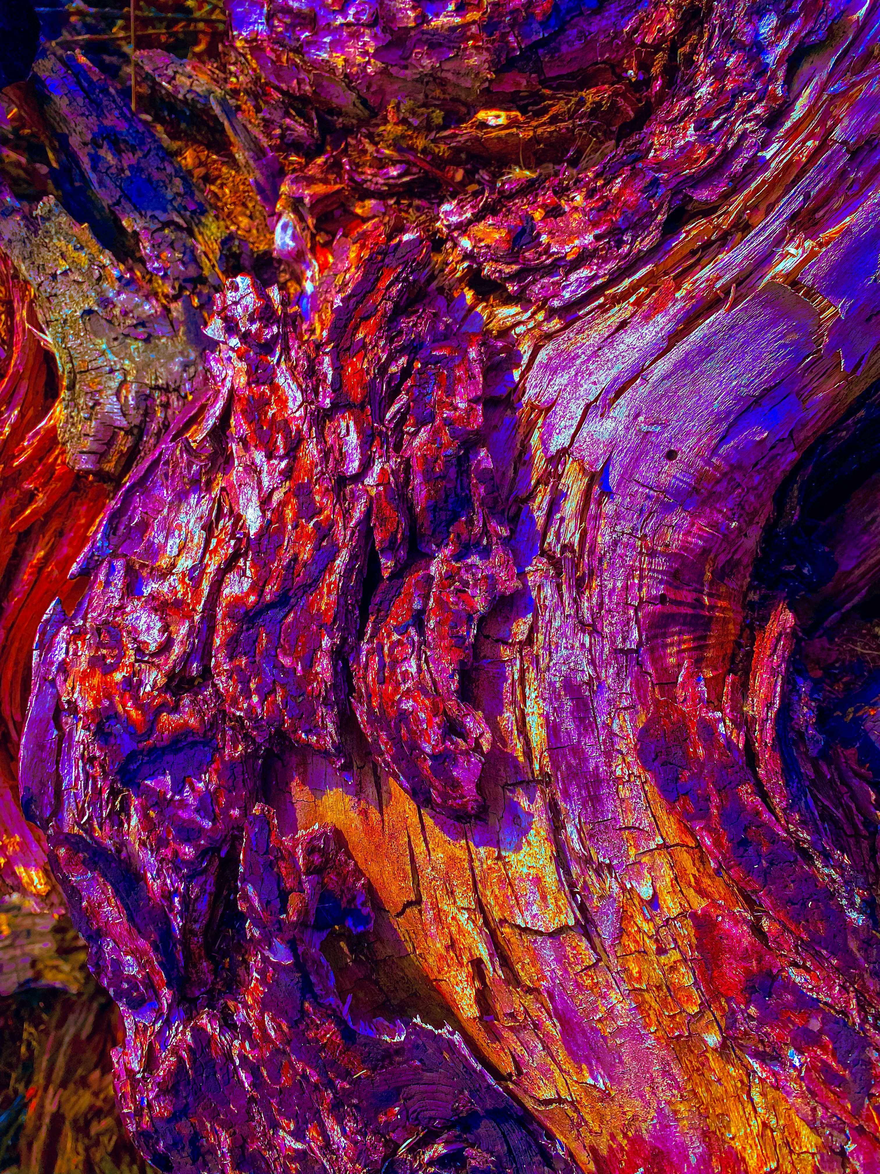 Photo by eugene_golovesov