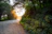 A serene photo of a sunbeam shining through softly parted clouds over a peaceful forest.