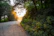 A serene photo of a sunbeam shining through softly parted clouds over a peaceful forest.