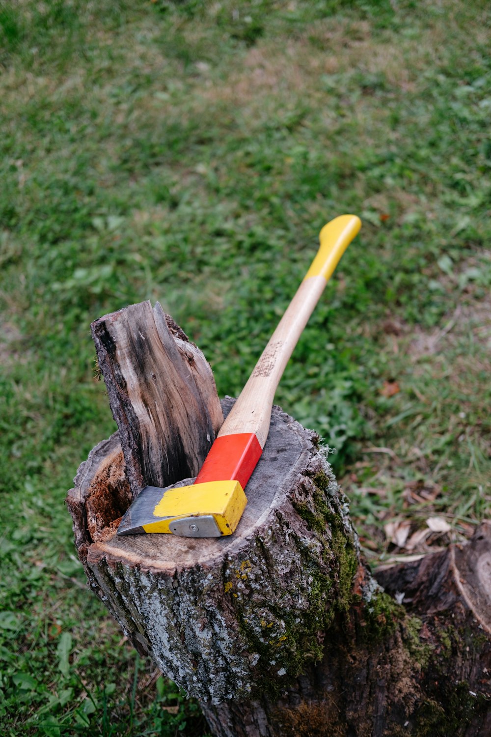 a shovel on a tree stump