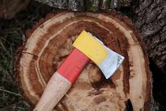 a close-up of a shovel