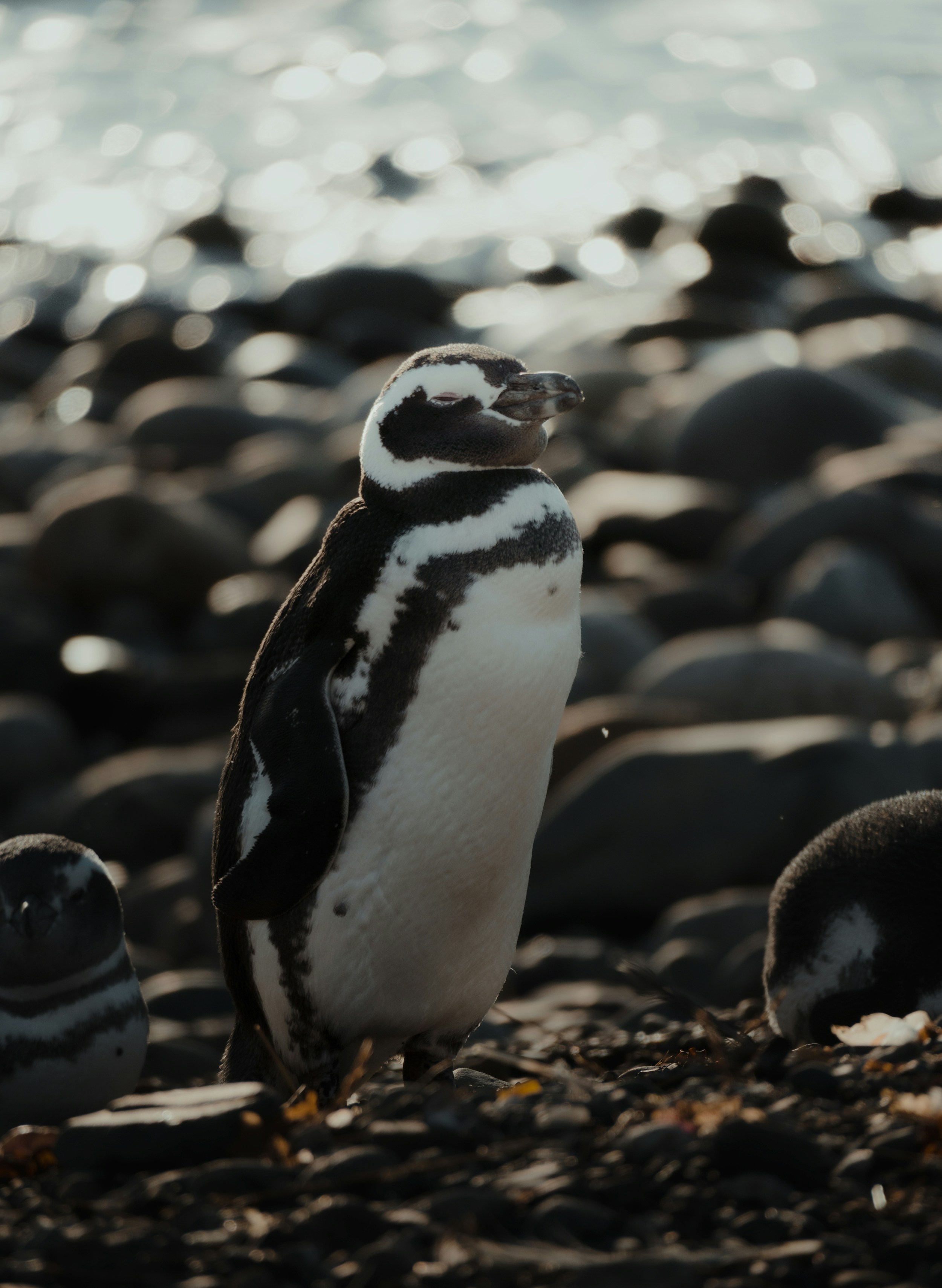 Photo by michielannaert