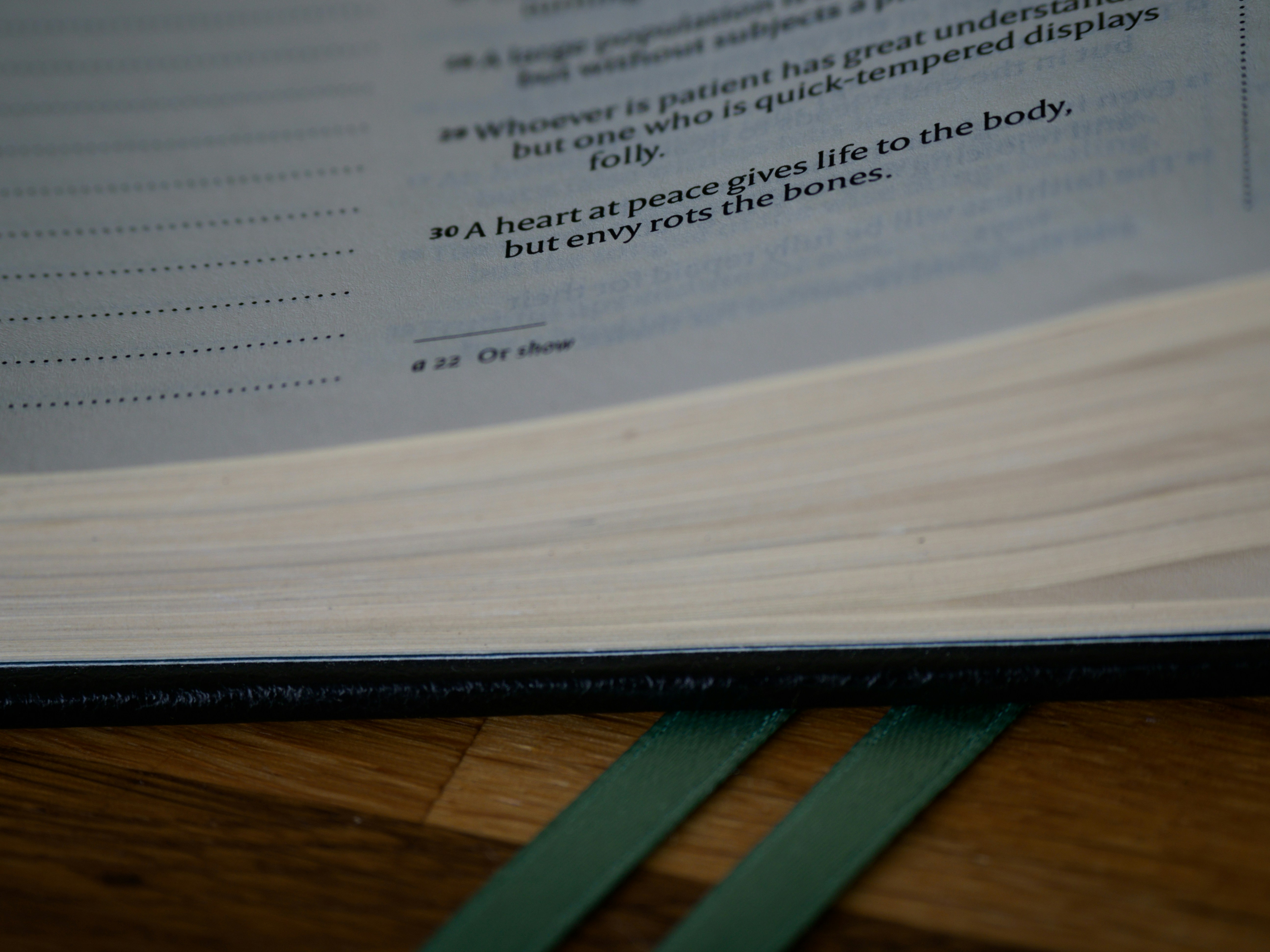 Photo by brett_jordan