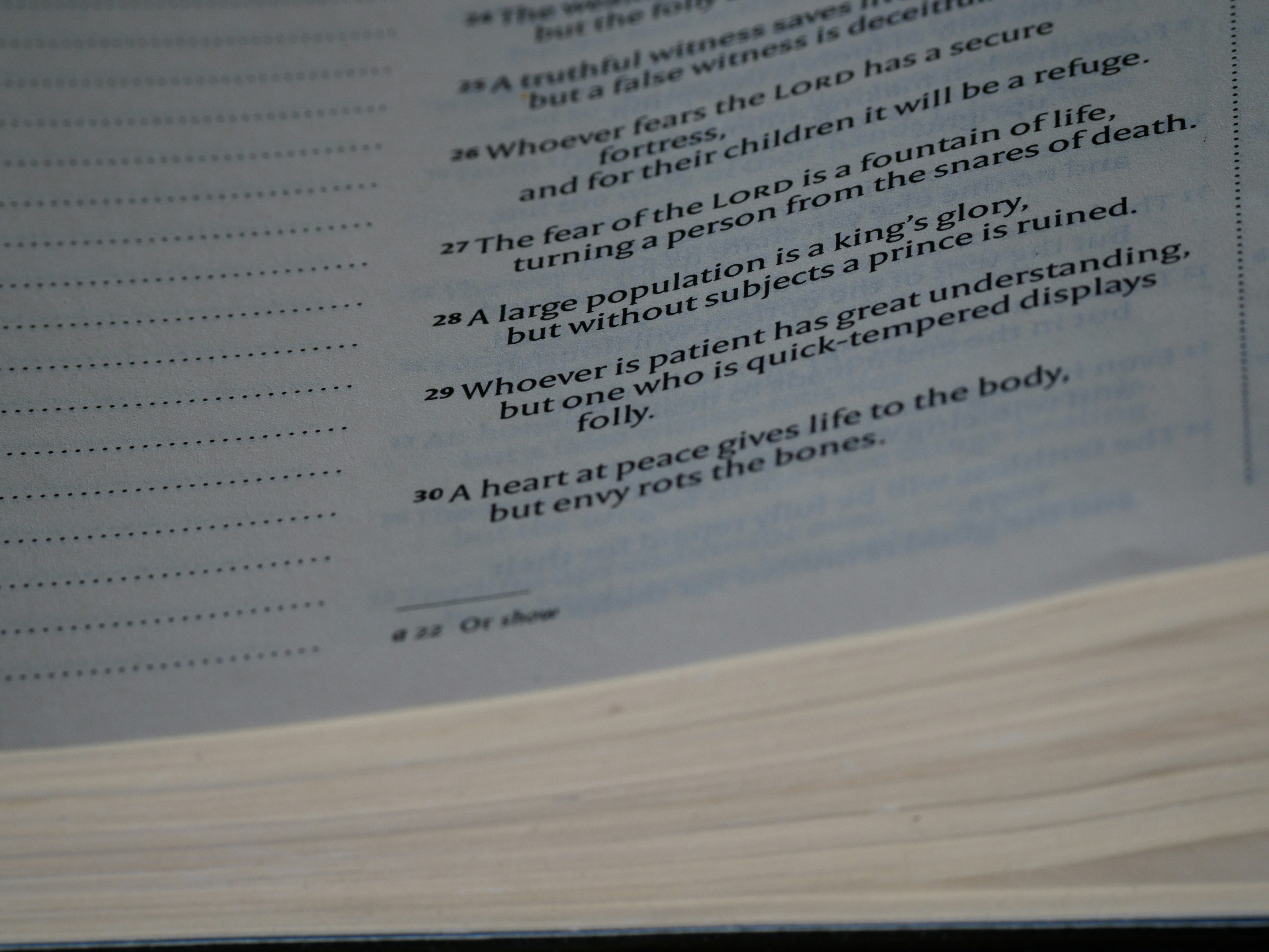 Photo by brett_jordan