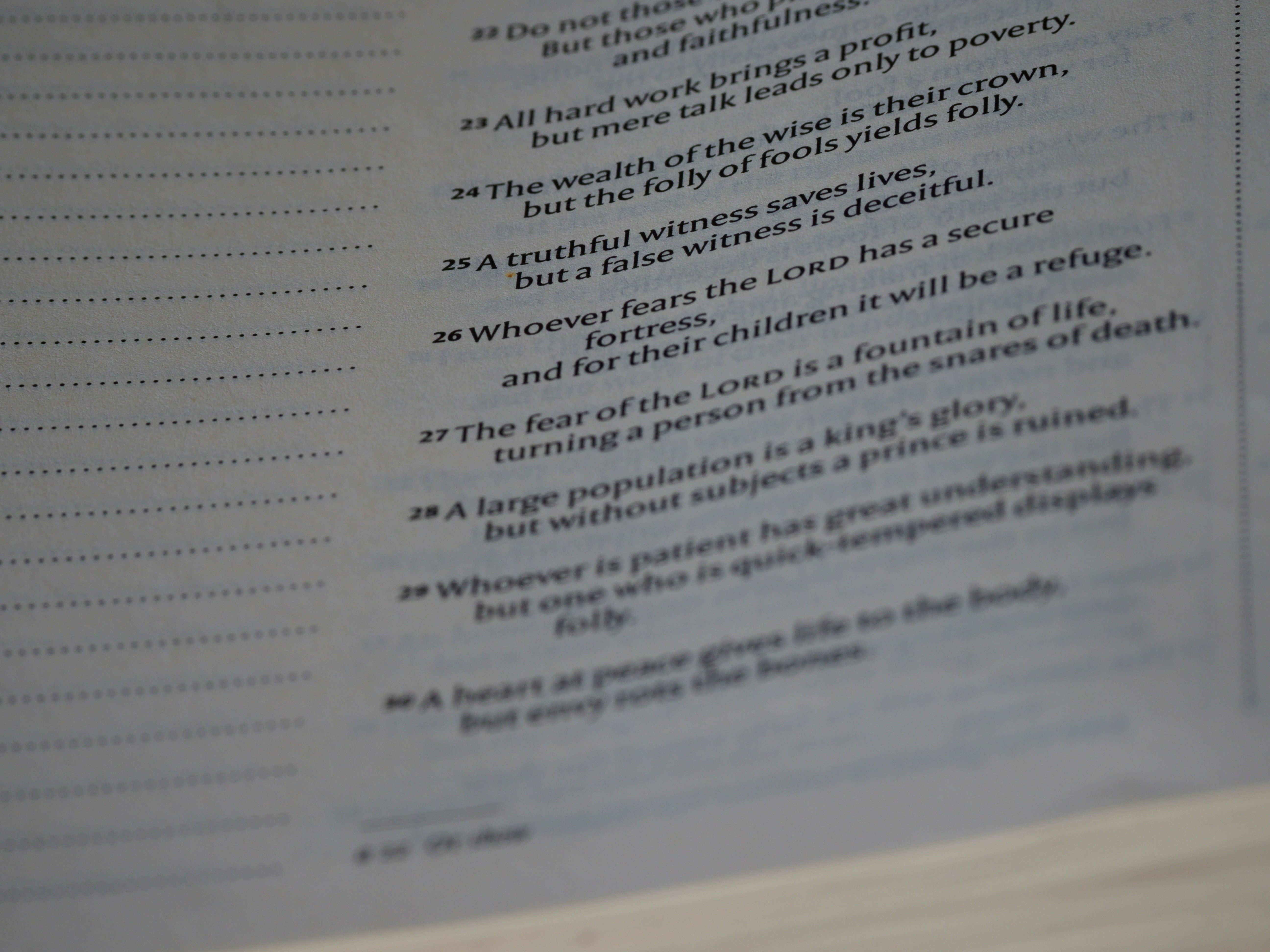 Photo by brett_jordan