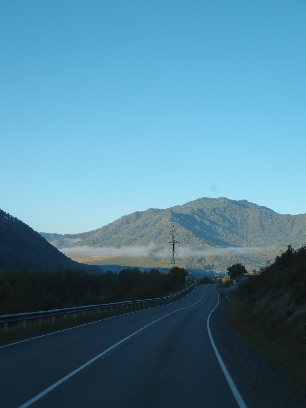 a road with trees on the side