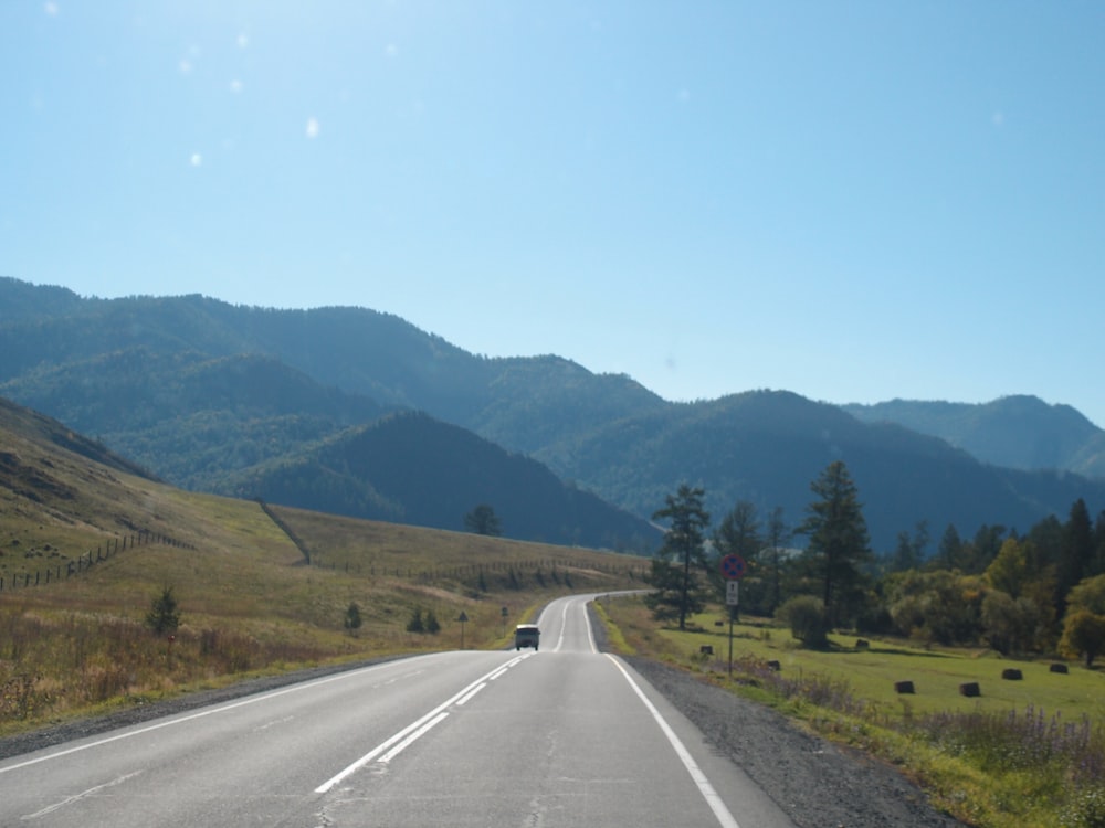 a road with trees on the side