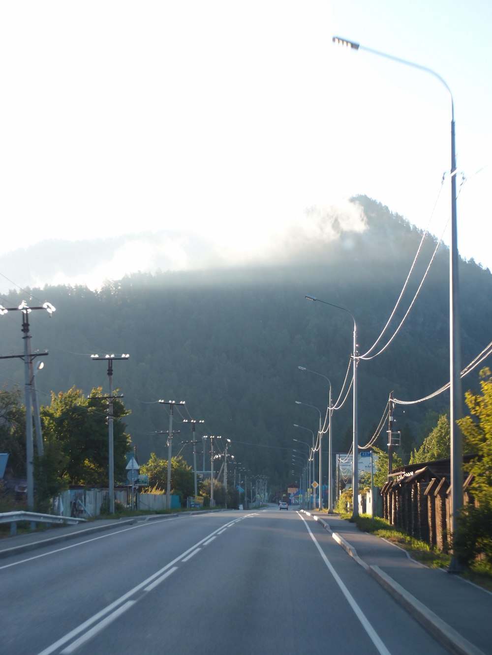 a road with trees and fog