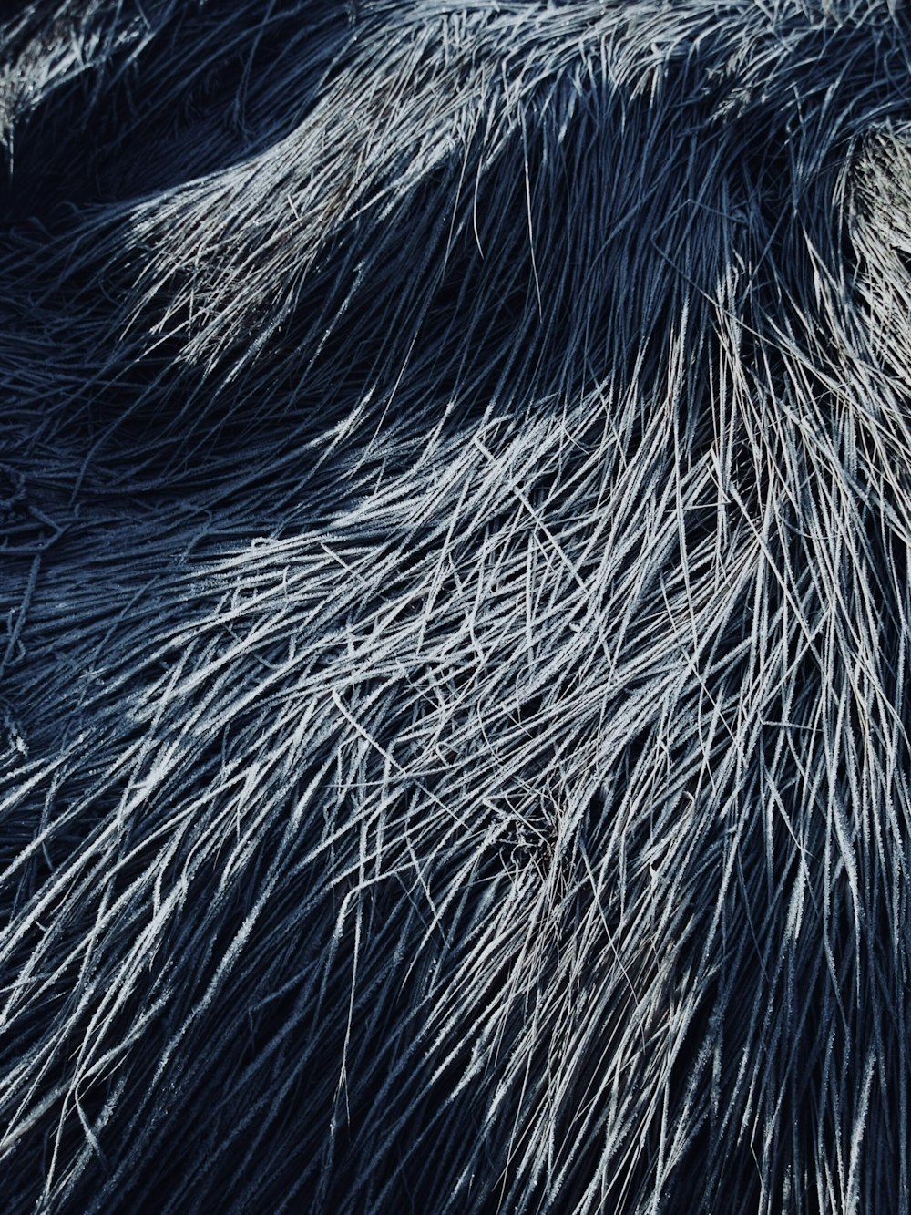 a close up of a person's hair