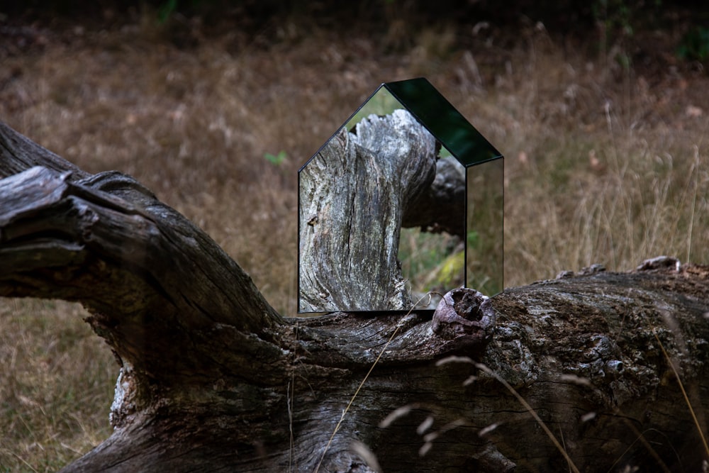 a bird house on a log