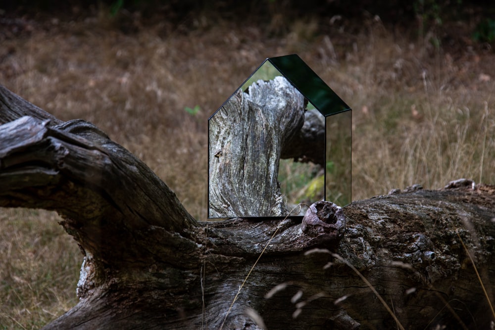 una casa de pájaros en un tronco