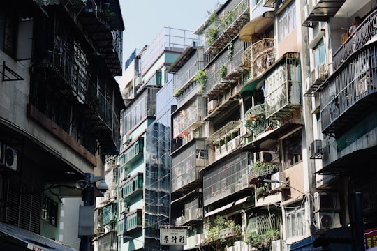 Wide shot of a high-rise apartment with pigeon nets installed on balconies, sunlight casting shadows on the nets.