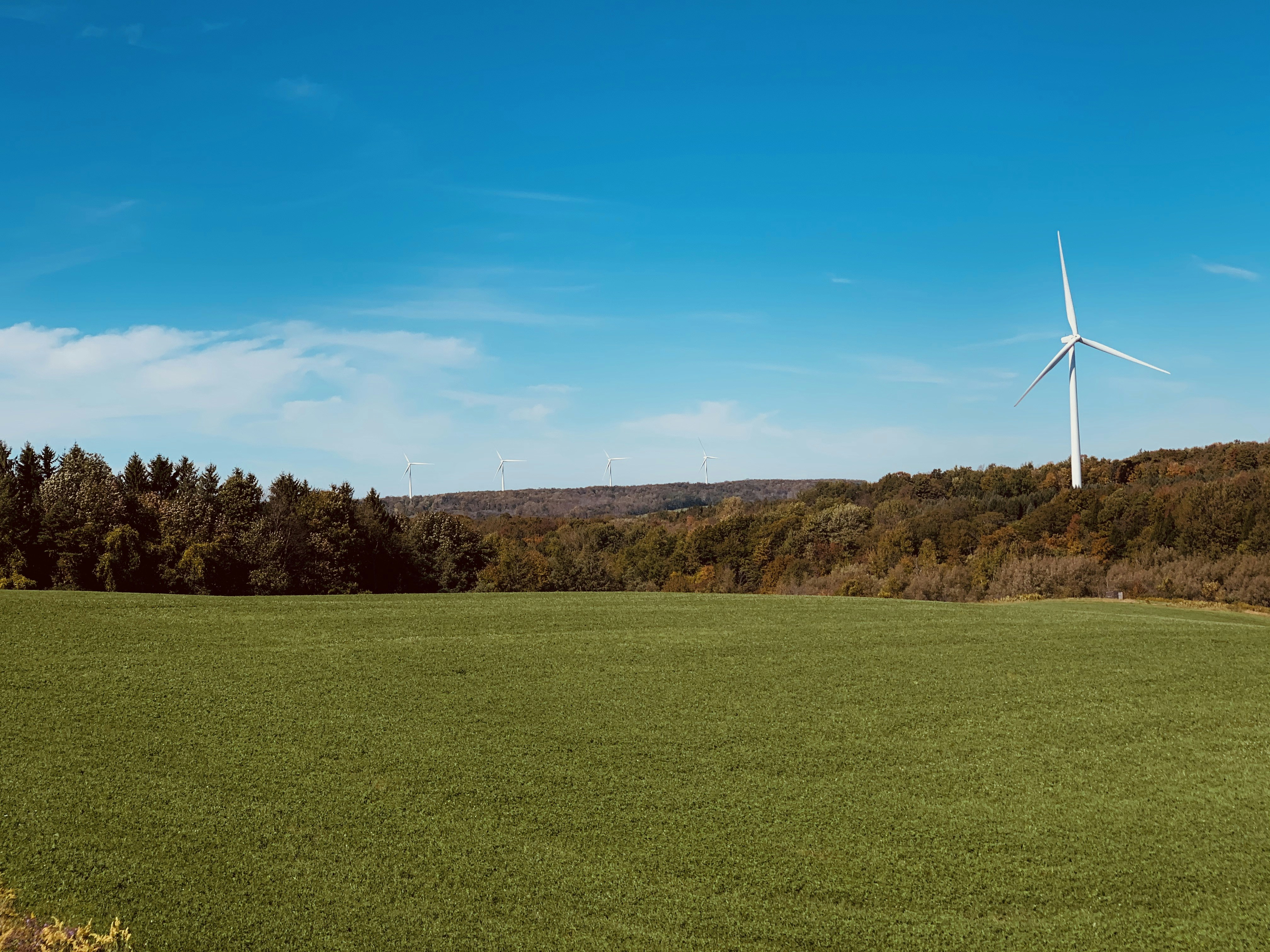 Wind turbines and solar panels in open farmland under bright blue sky, well-lit renewable energy landscape