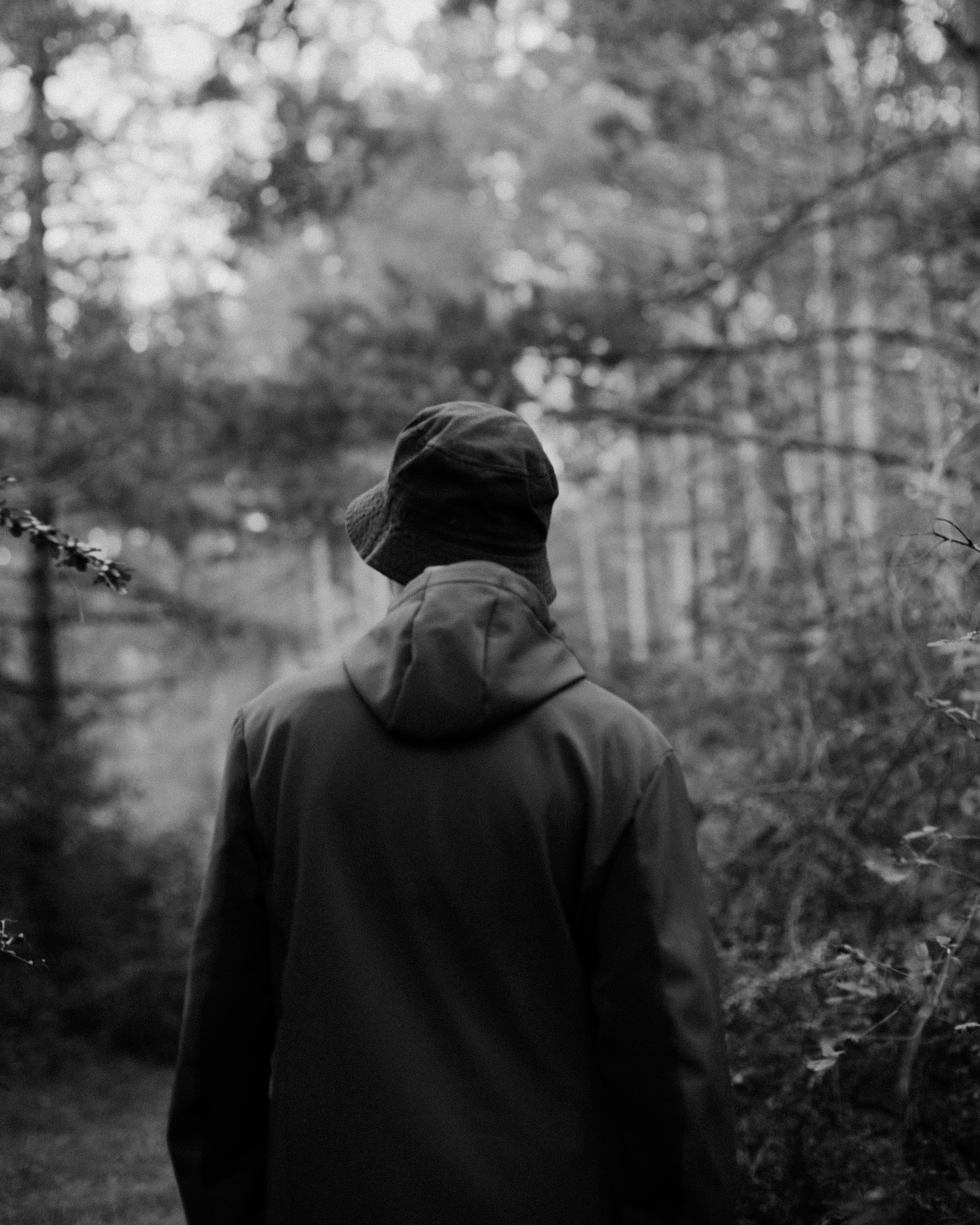 Photo by razvanciocan