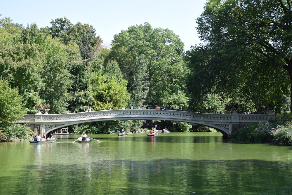 a bridge over a river