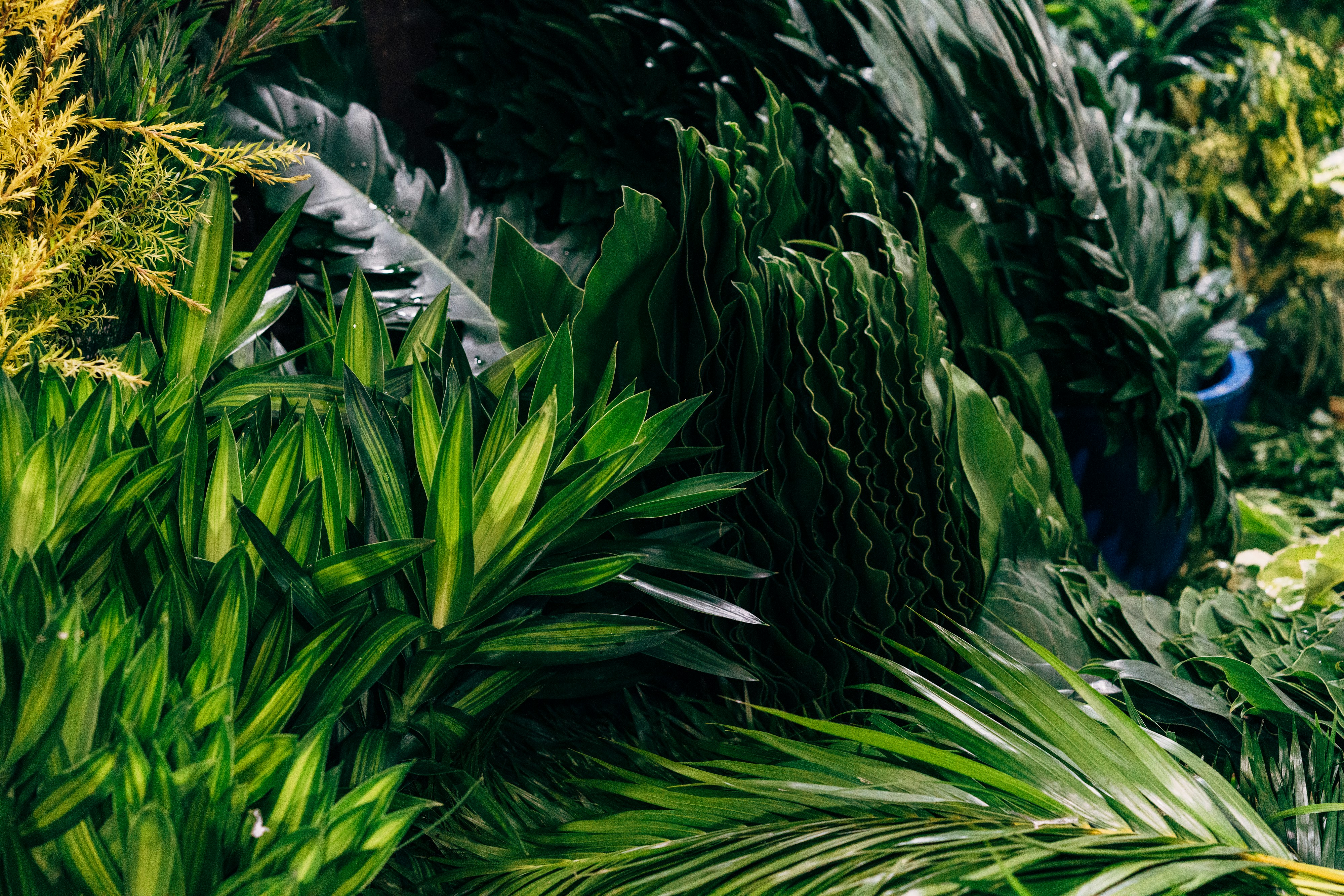 Photo by markuswinkler