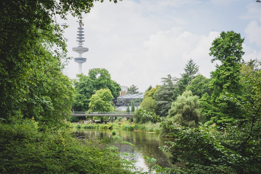 a body of water with trees around it and a tower in the background