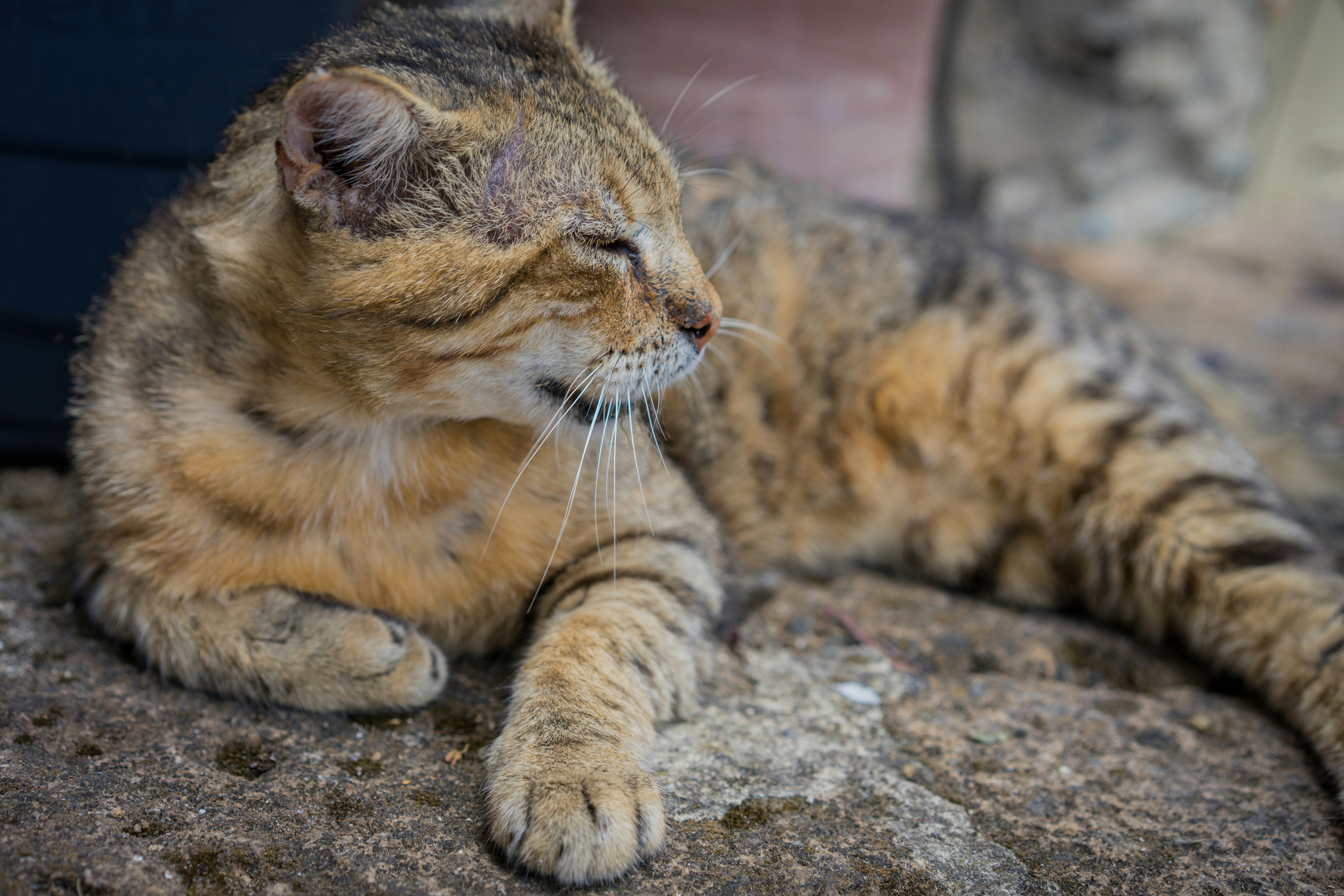 Photo by carolineclementine