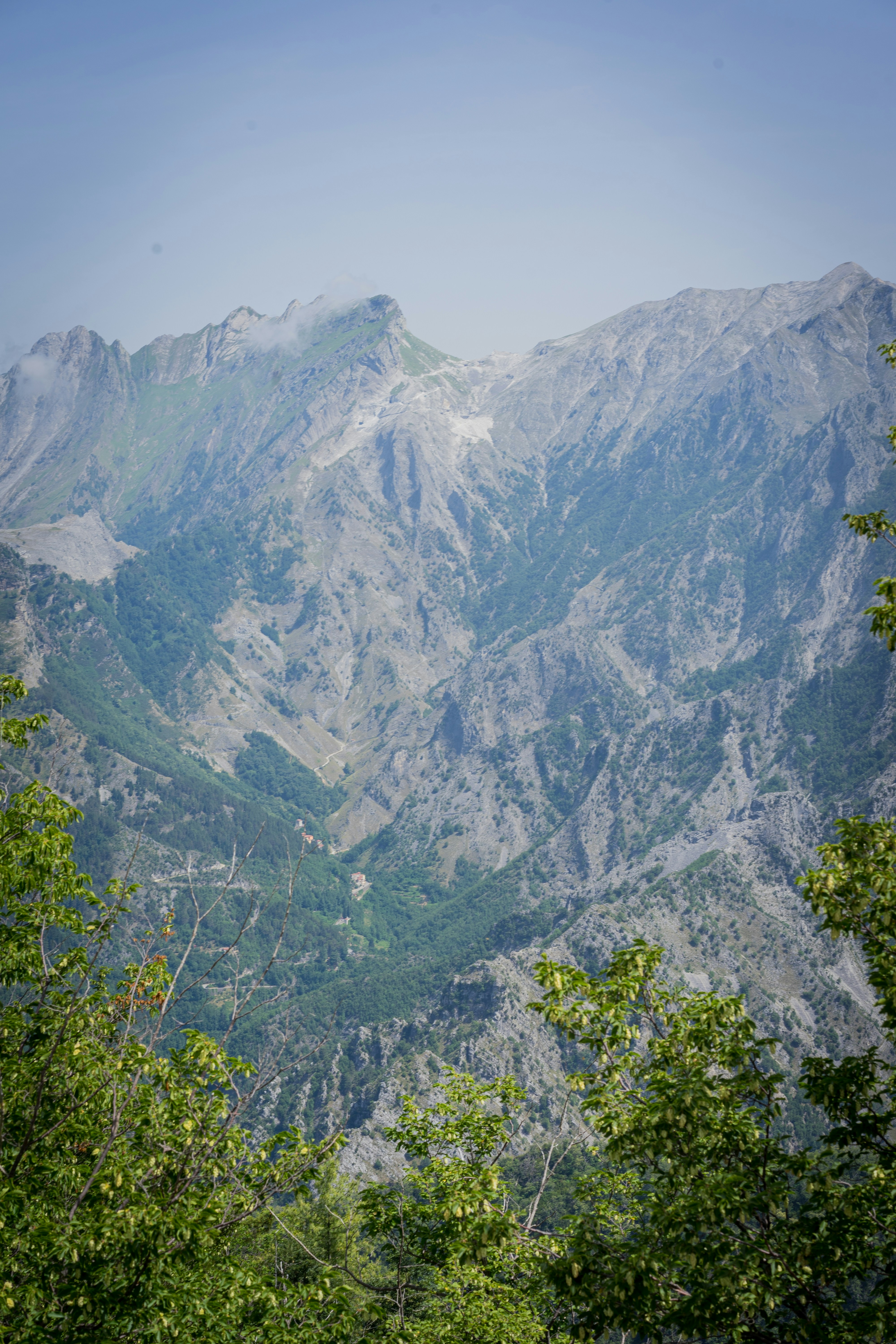 Photo by carolineclementine