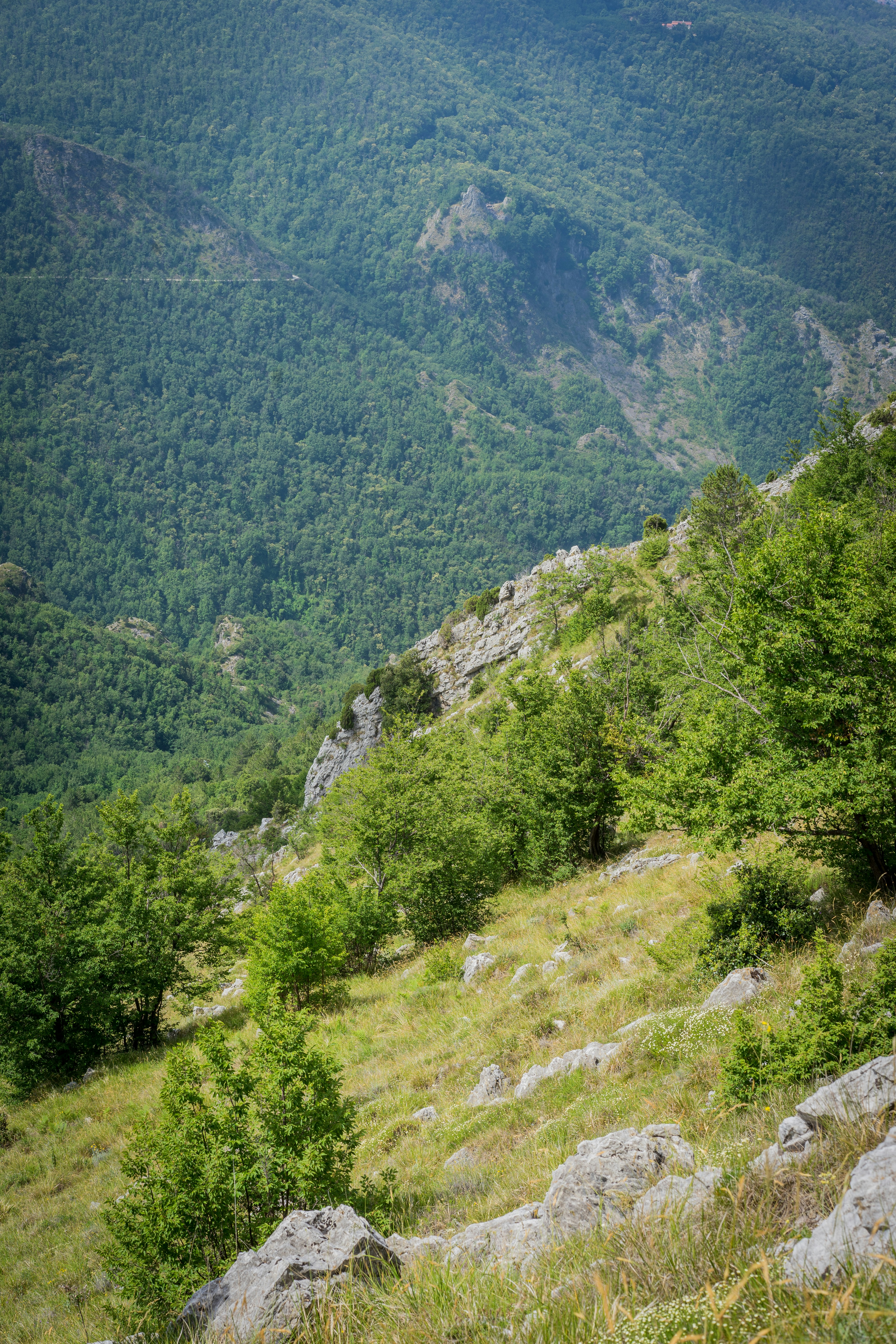 Photo by carolineclementine