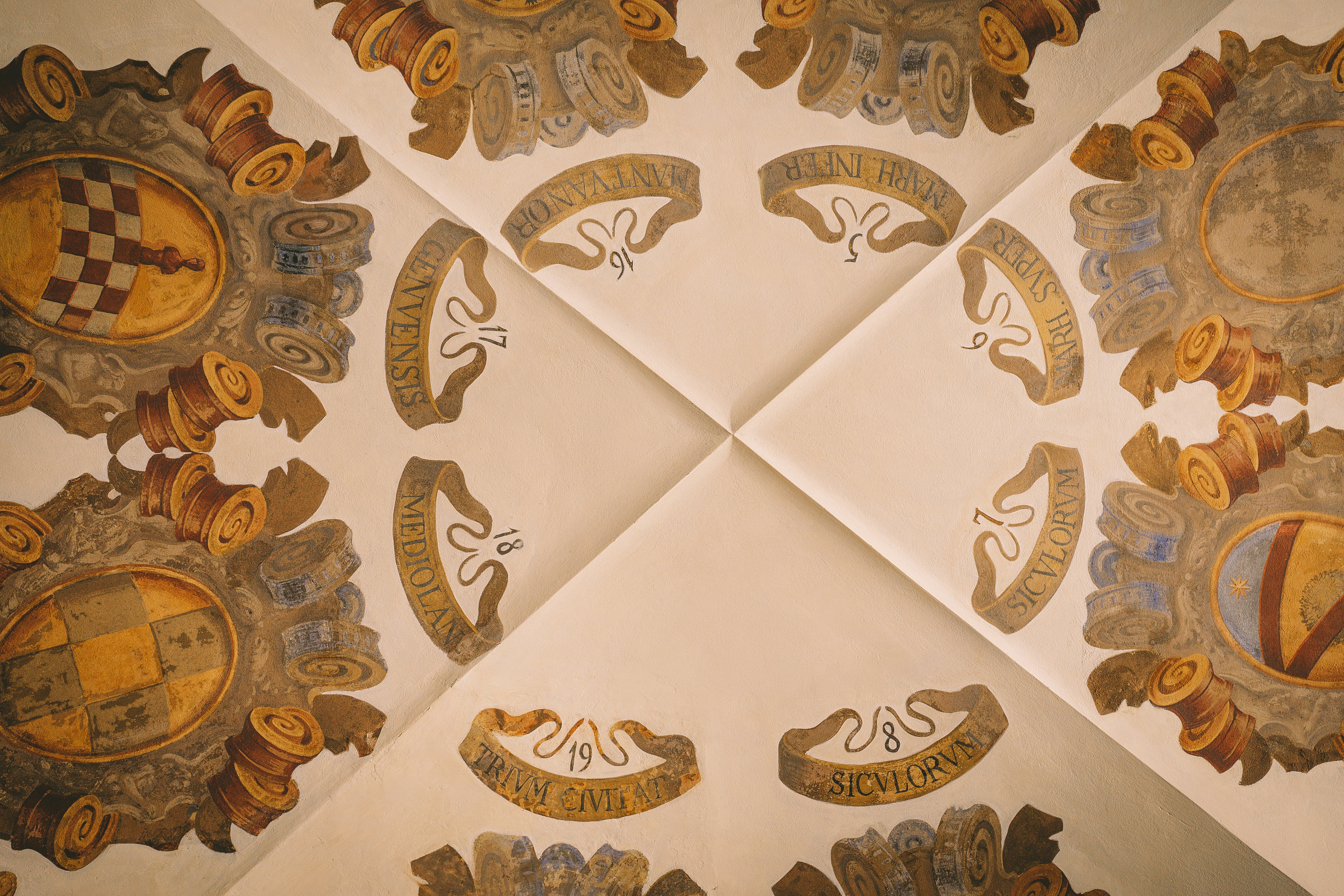 Photo by carolineclementine