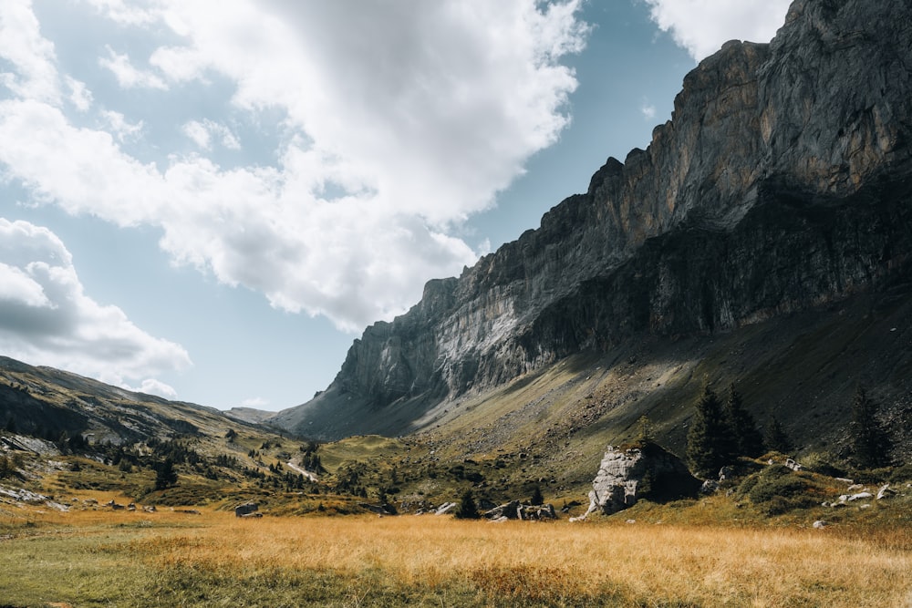 a grassy valley between mountains