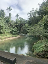 A serene, lush green landscape with a calm river flowing through dense tropical foliage. Palm trees and various types of vegetation create a vibrant canopy above, while the water reflects the greenery and sky. The scene is tranquil and untouched by urban development.