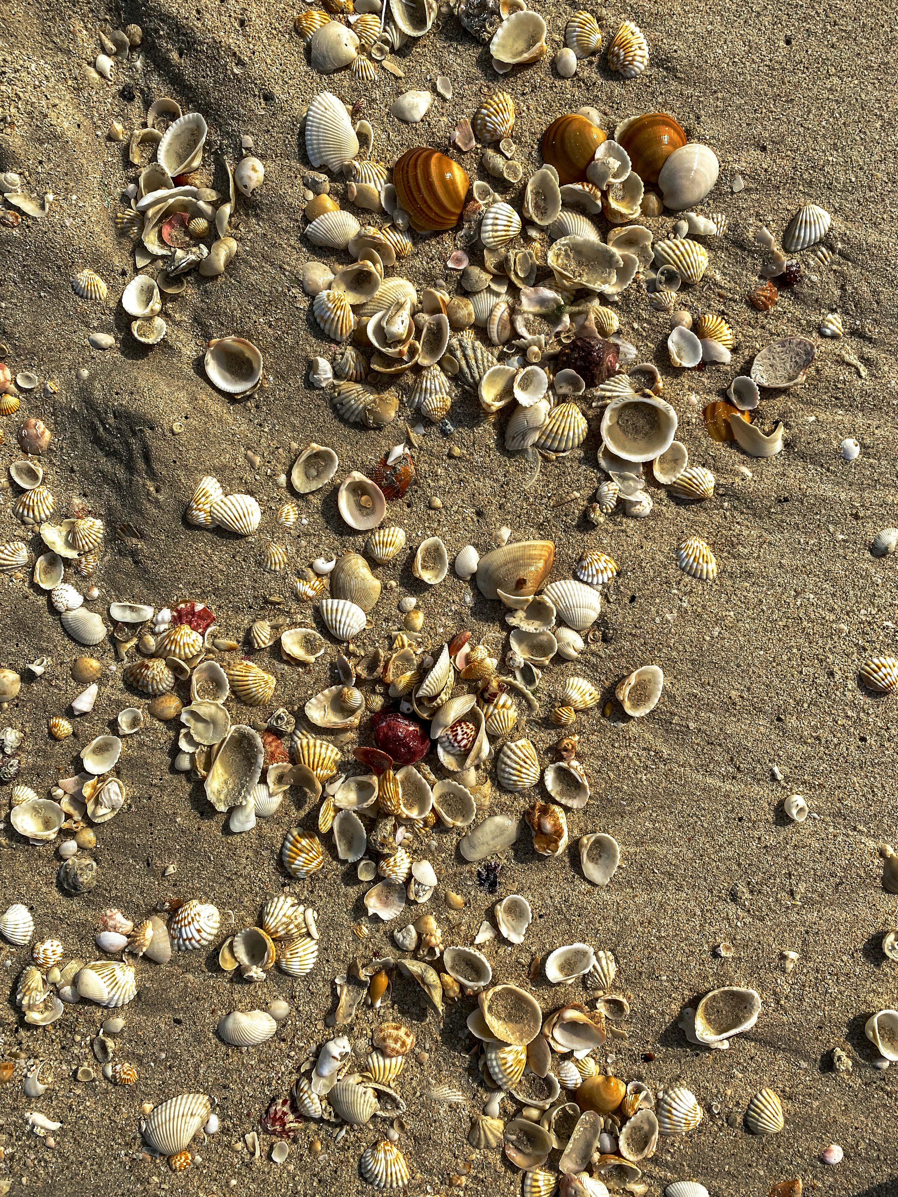 Photo by your_scorpion