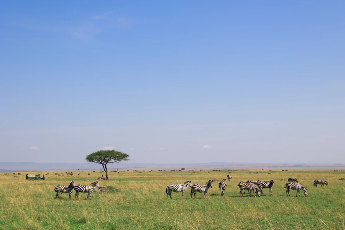 Amboseli Safari - elephants with Kilimanjaro