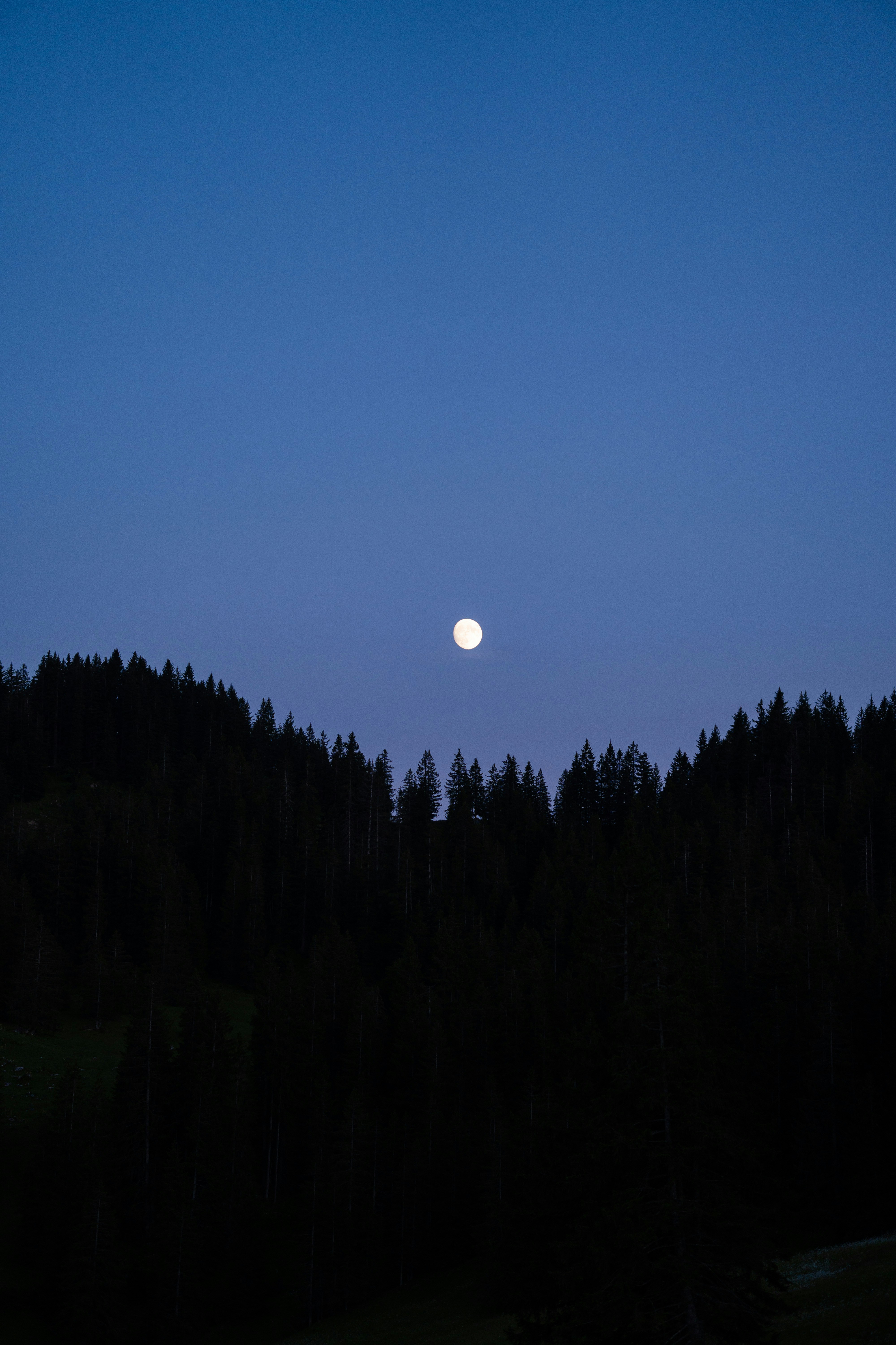 Photo by bernhardvisuals