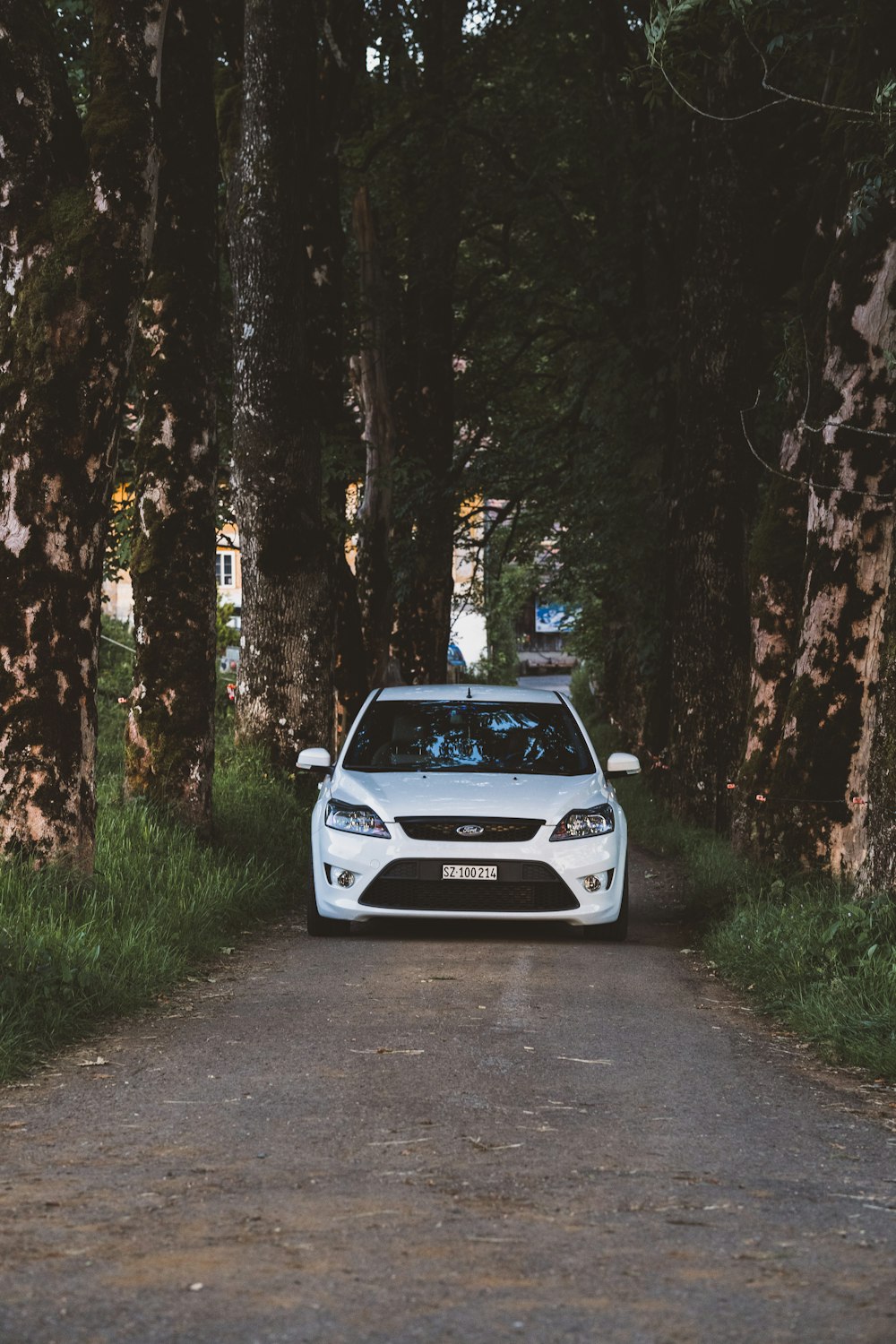 a white car on a dirt road surrounded by trees