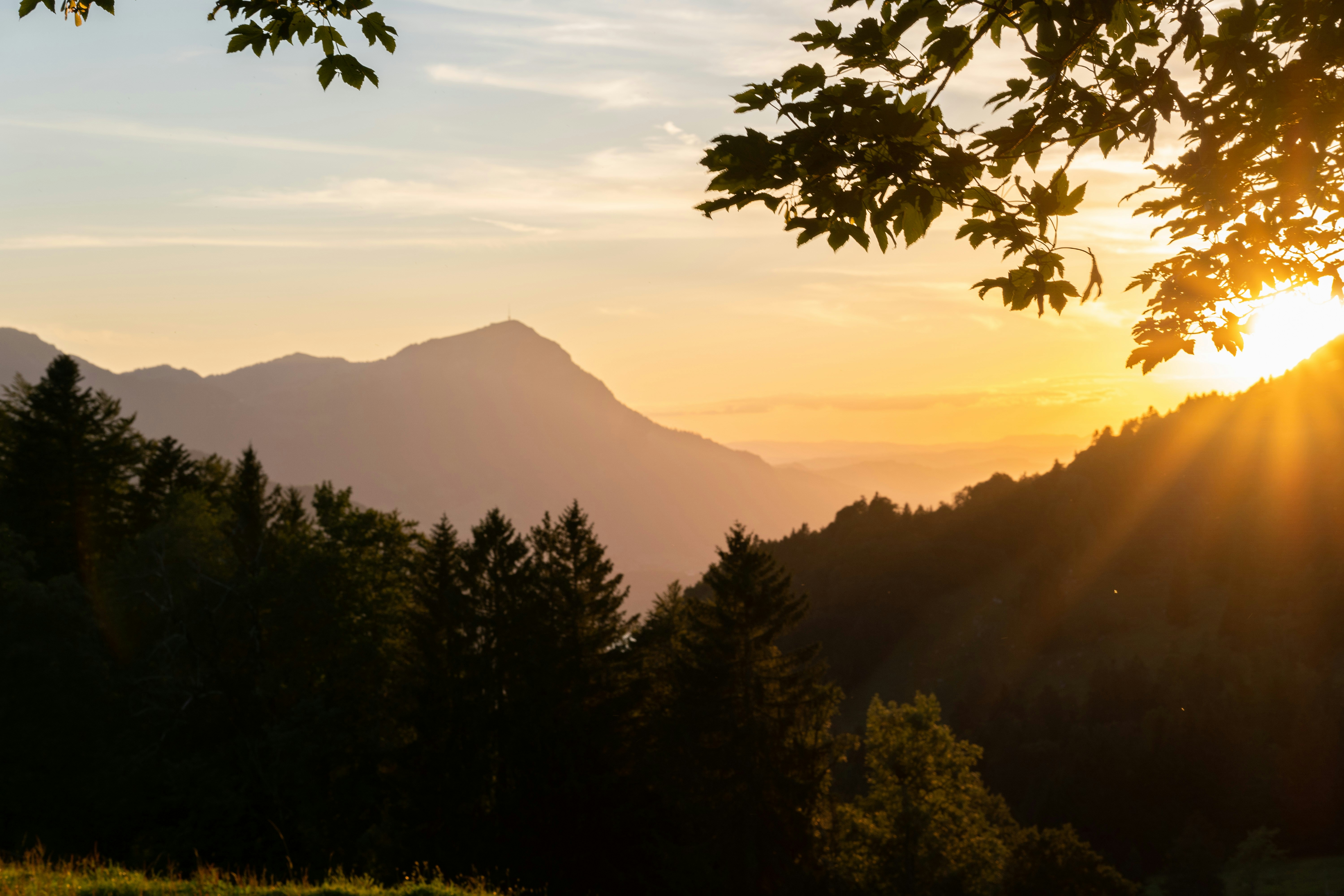 Photo by bernhardvisuals