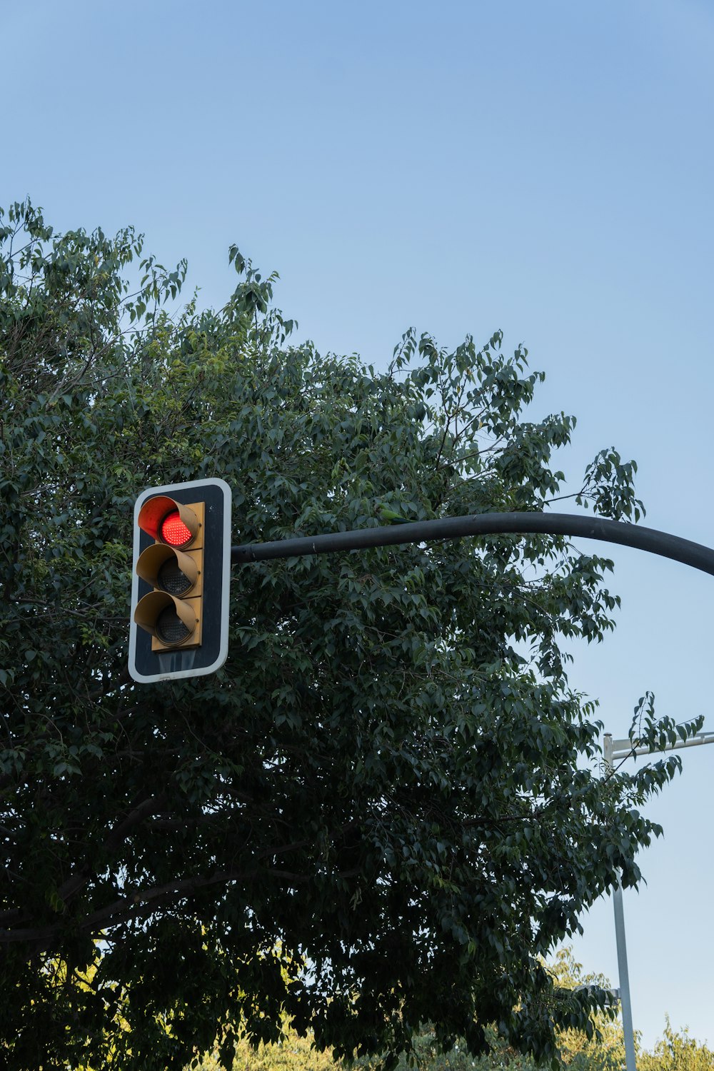 a stop light with a red light