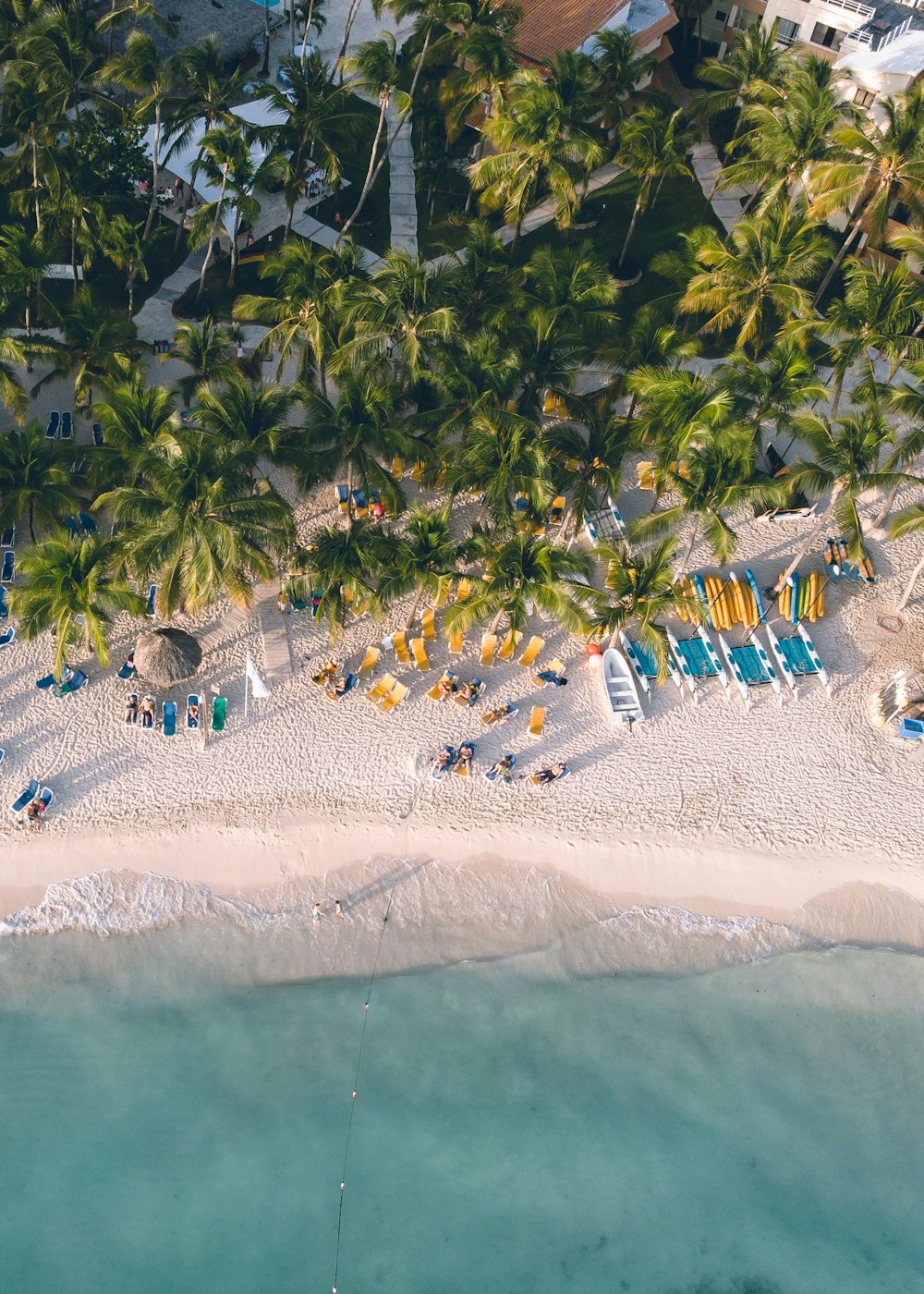 uma praia com pessoas e árvores