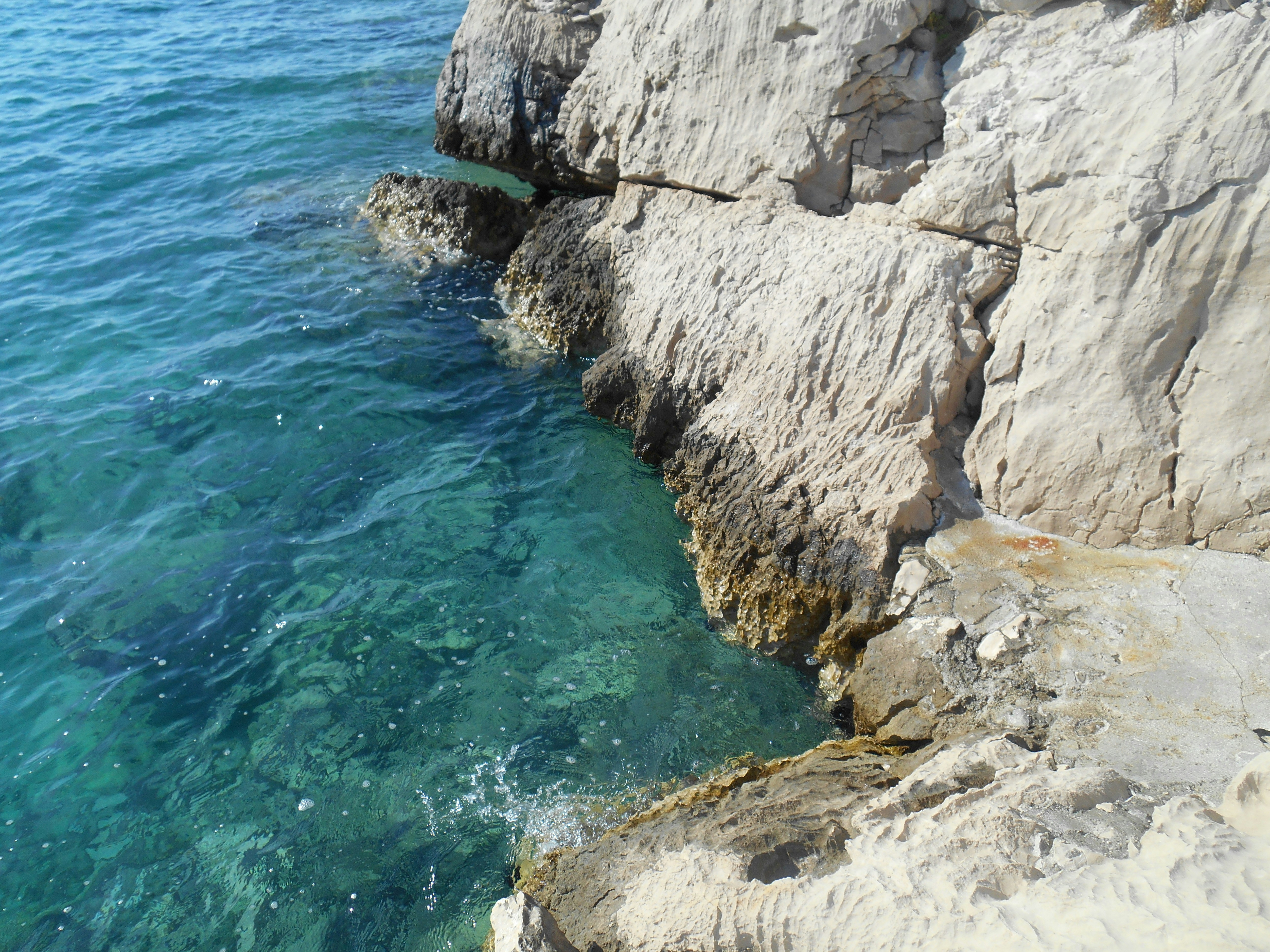 Photo by doraarbanas