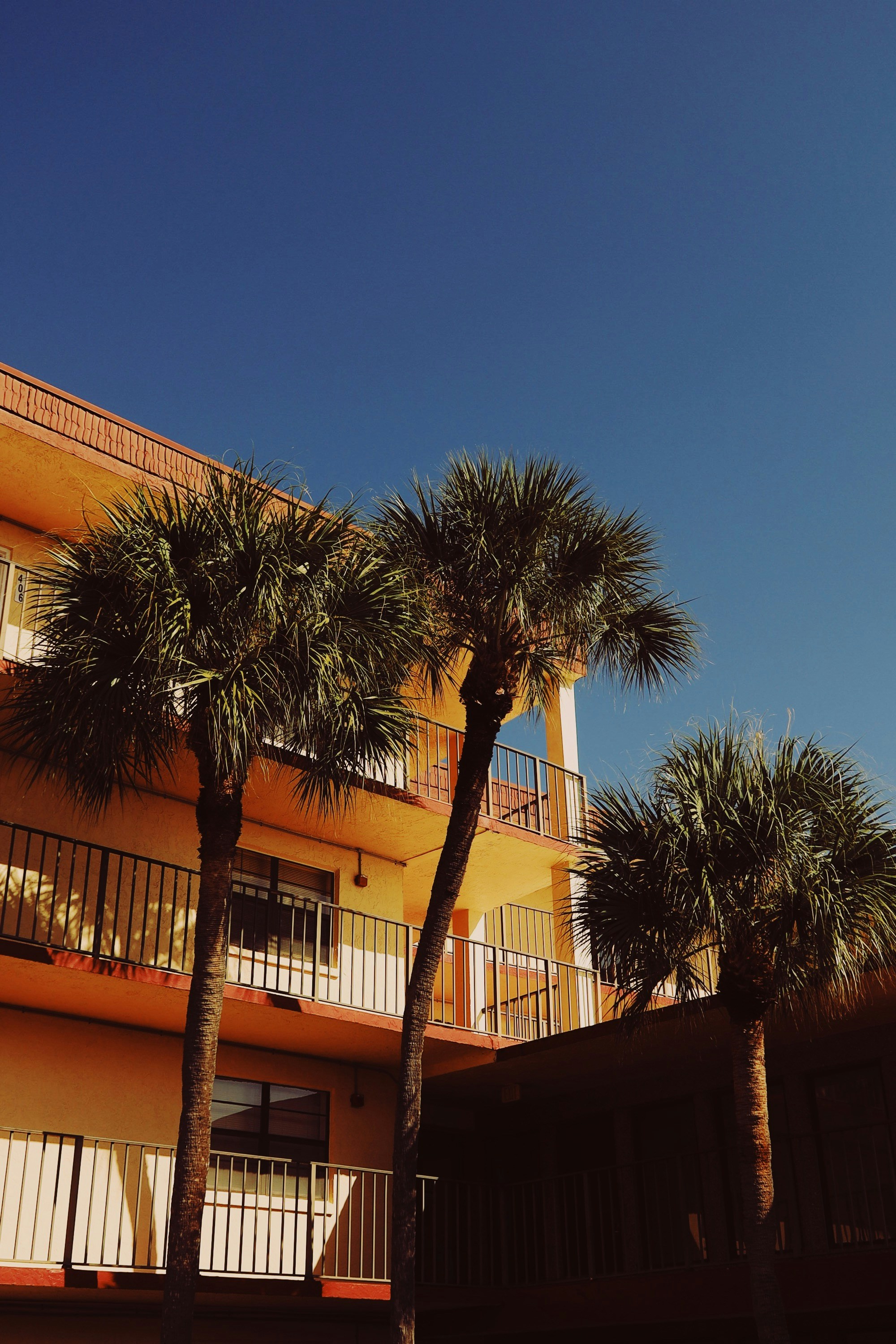 Boca Raton And Palm Beach County